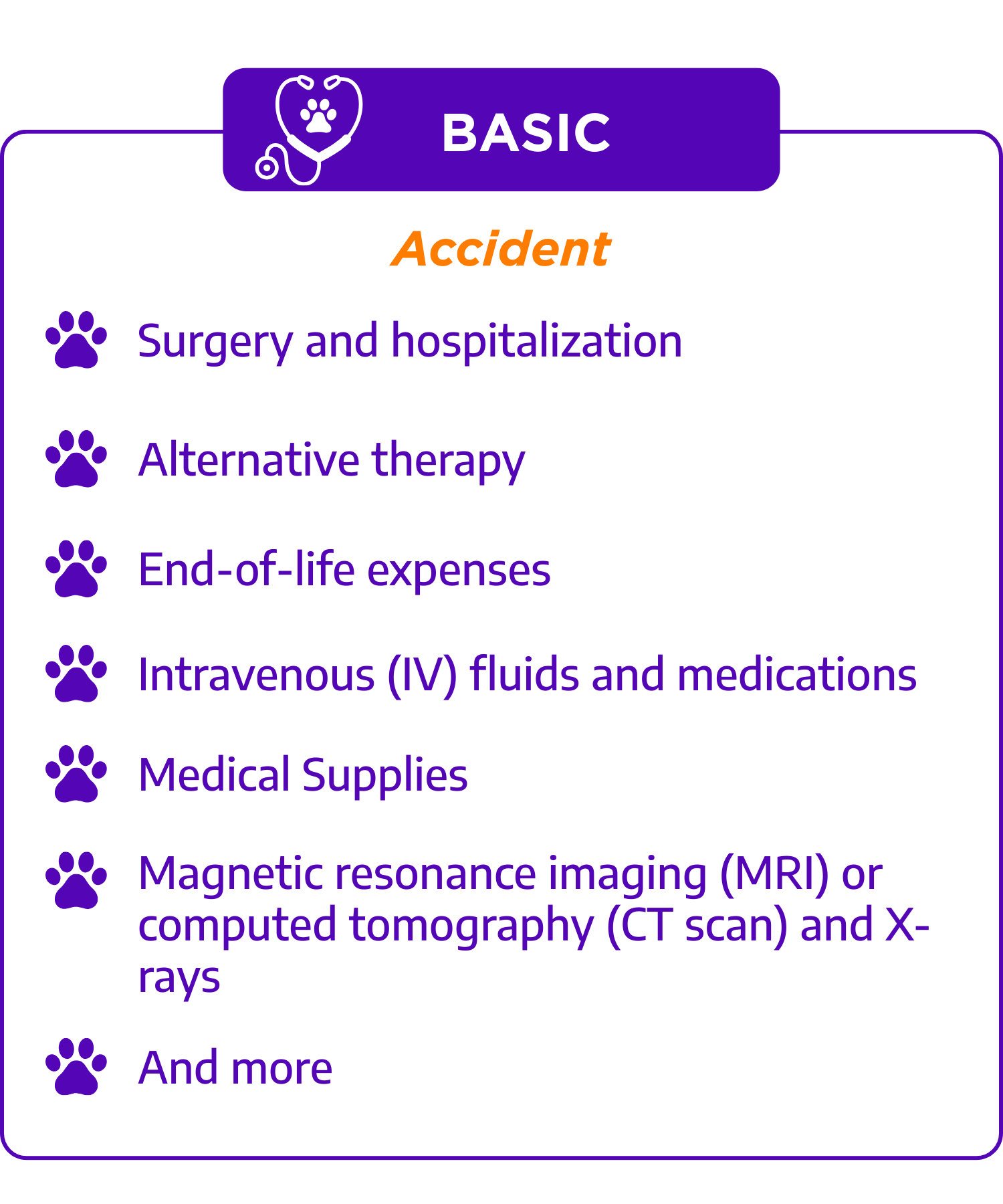 A veterinary infographic titled 'Basic' with a purple pet icon, listing categories of accident expenses such as surgery, therapy, end-of-life costs, IV fluids, medical supplies, MRI or CT scans, and more.