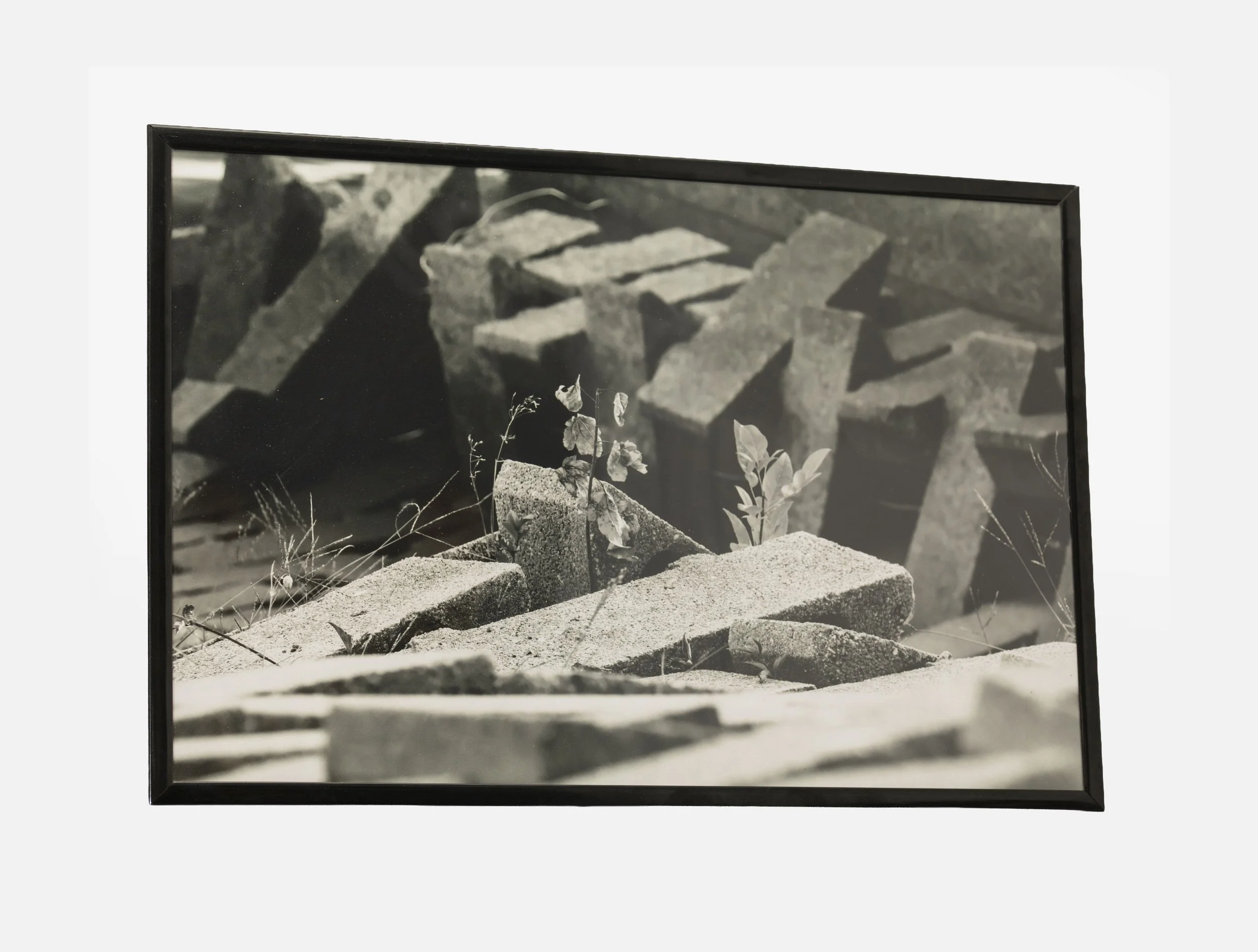 Renaissance copie.jpg