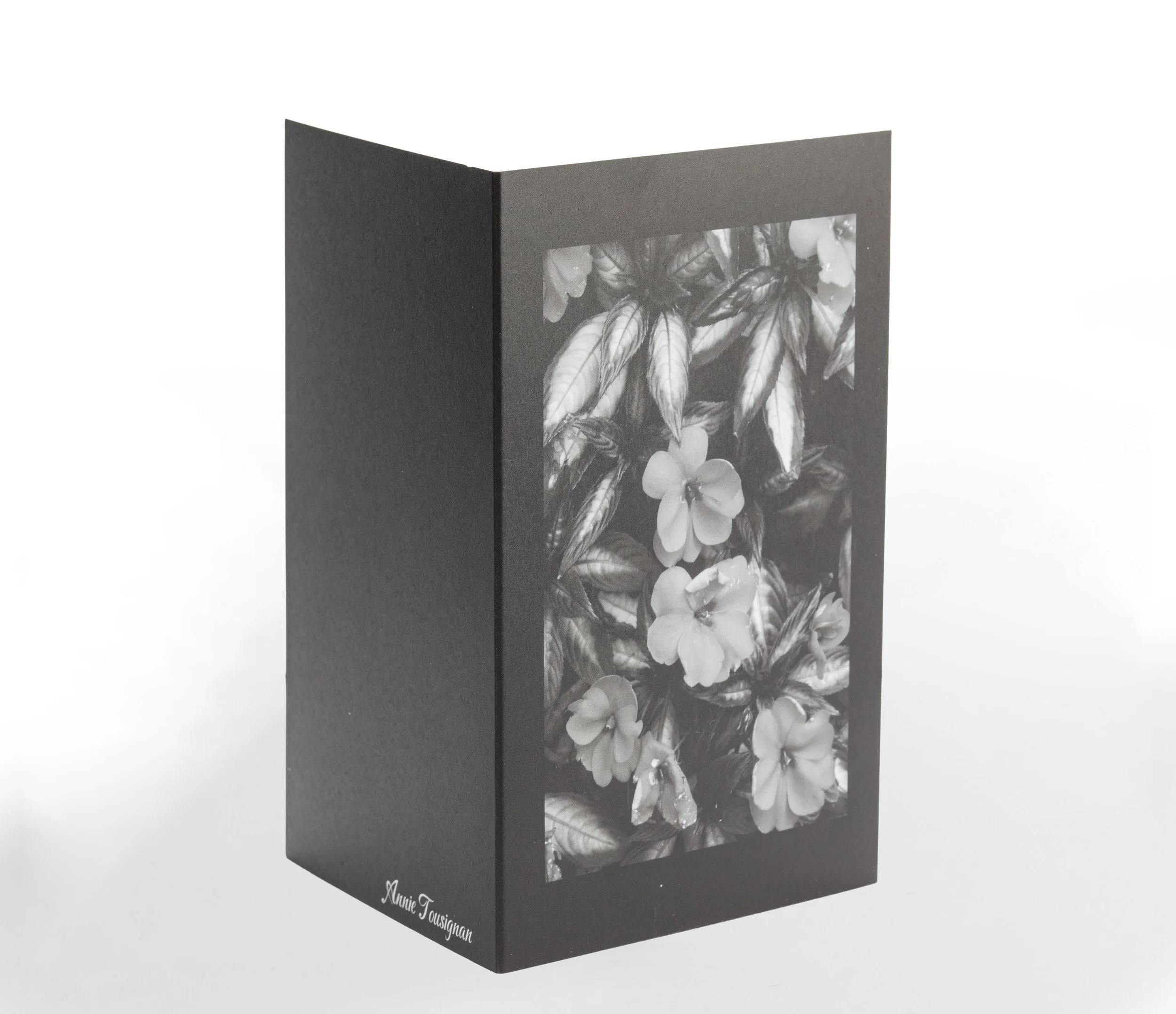 Fleures obscures2.JPG