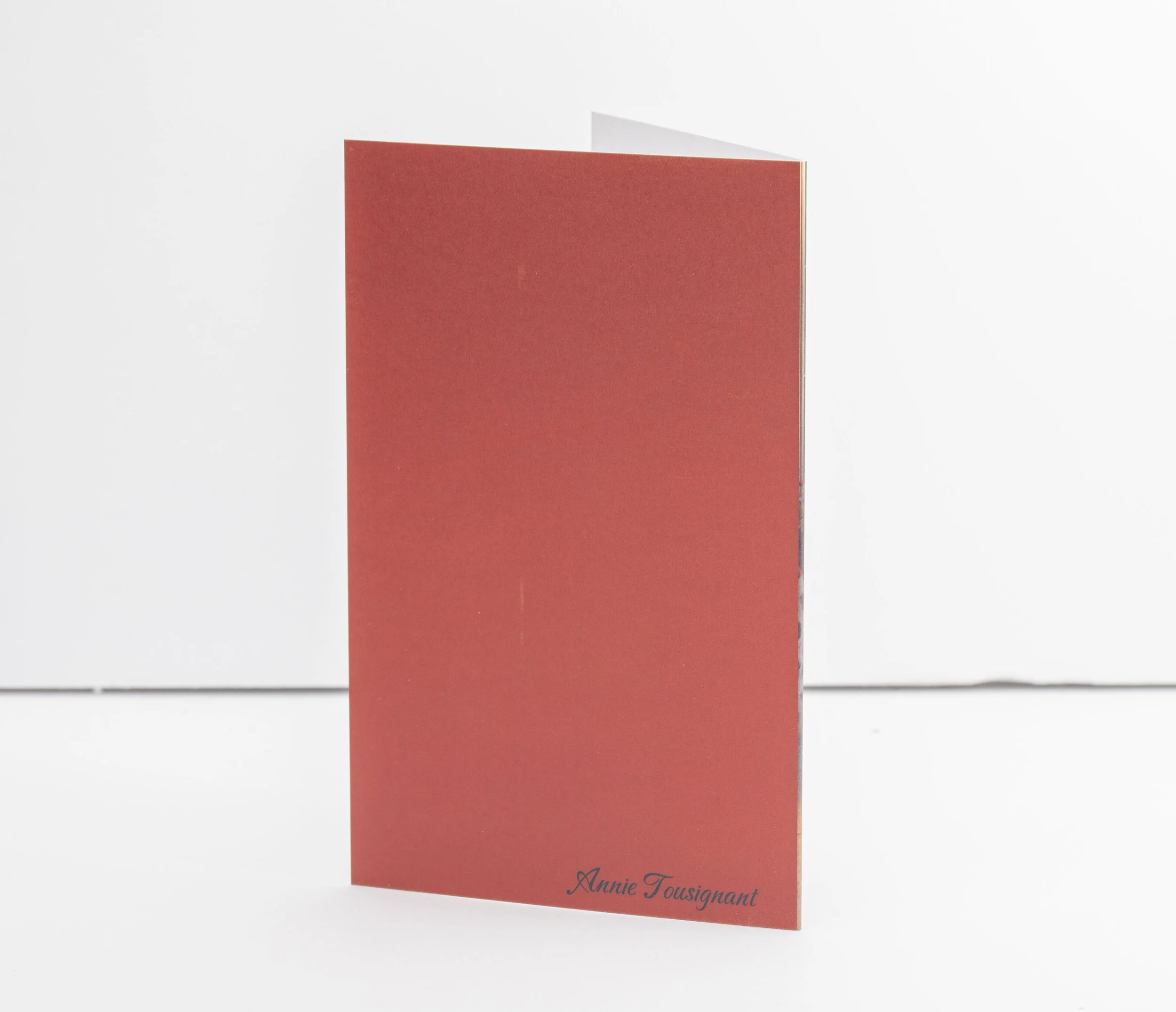 Après-midi chaleureux 2.JPG