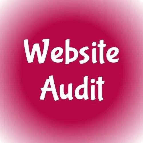 Maroon circle with white text that reads, "Website Audit"