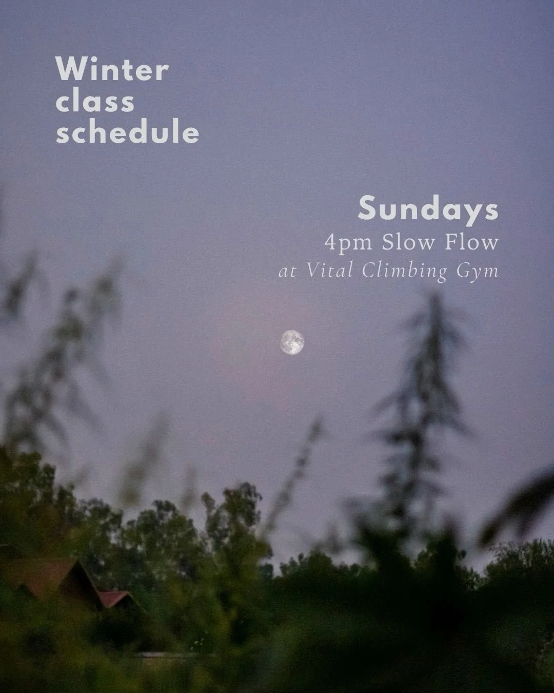 Winter class schedule:
- Sundays, 4 pm @vitalbellingham 
- Wednesdays, 10 am &amp; Fridays, 12 pm @focalpointpilatesandmovement 

I&rsquo;m happy to be holding space for breath + rest + movement again, even while I&rsquo;m continuing on the journey o