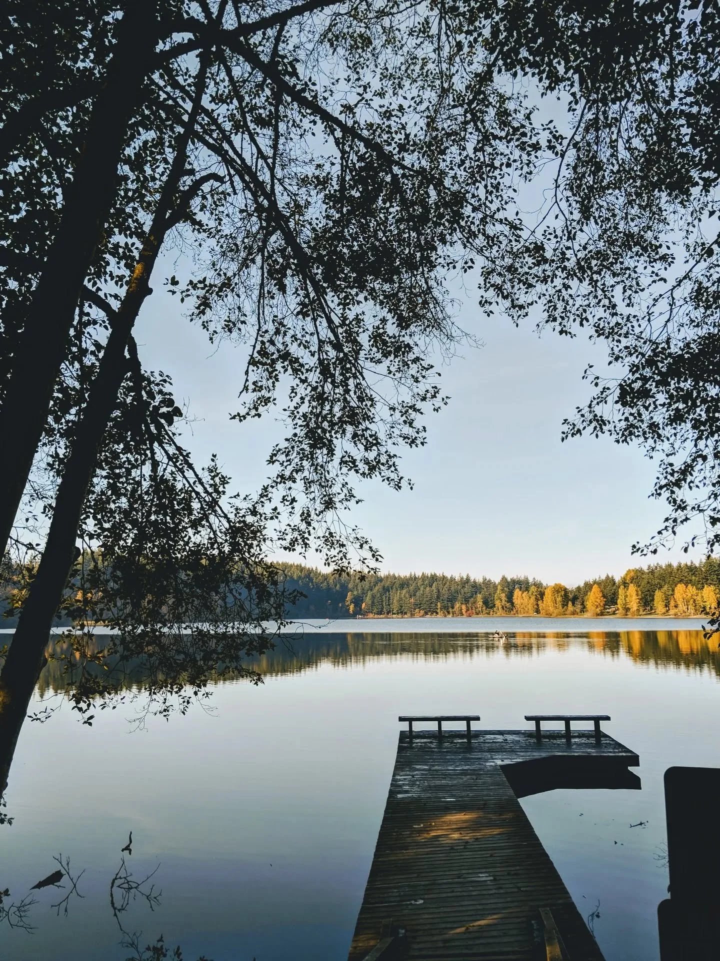 the good list: good hangs, leaves floating in puddles reflecting the clouds, sunshine in the deep autumn, lounge days, a dance party, quality time with my loves, the humming bird fluttering outside my window, rainbows, zorahn's contagious smile + win