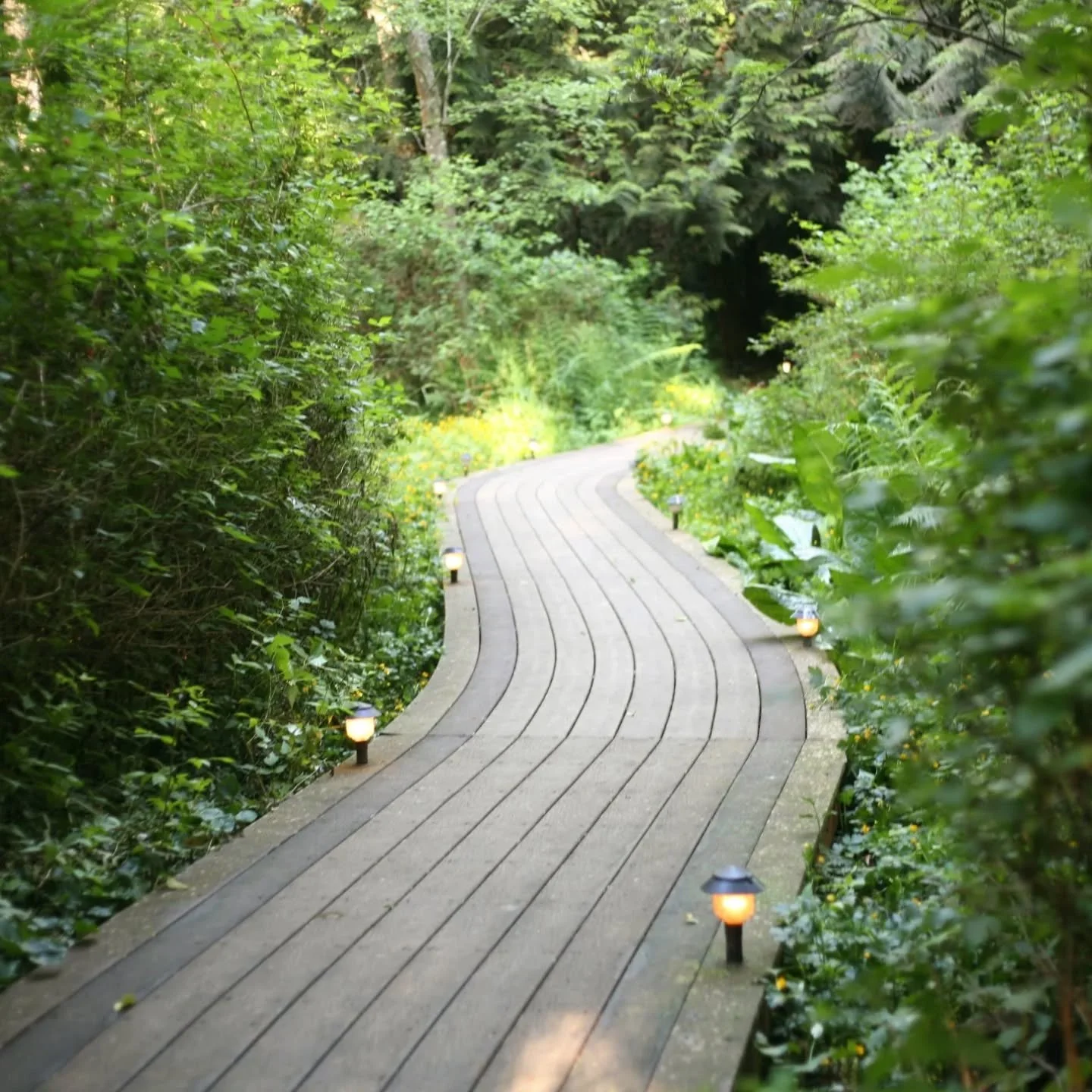 "To learn to swim in the ocean of not-knowing- this is my constant work." - Suleika Jaouad