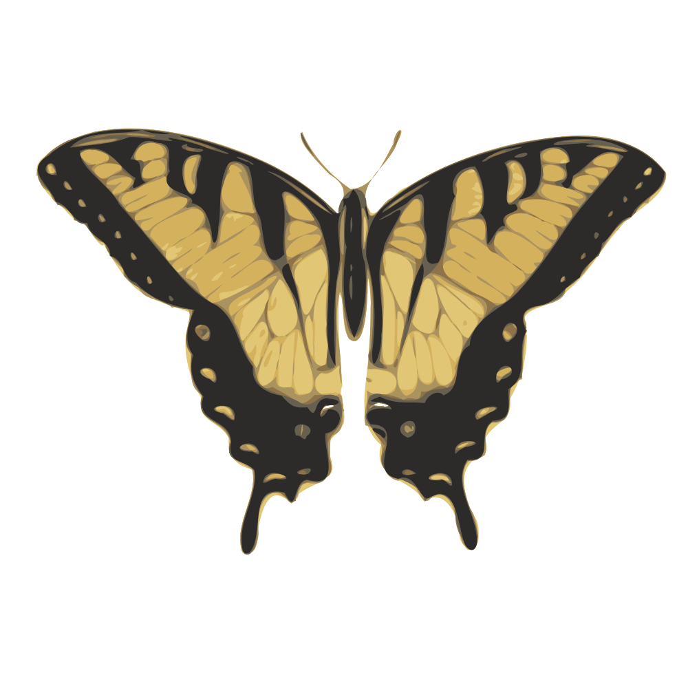 illustration of a butterfly