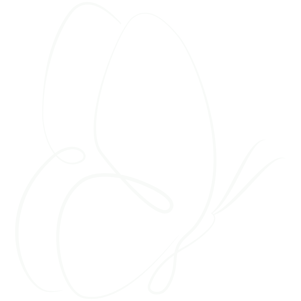 line drawing of butterfly