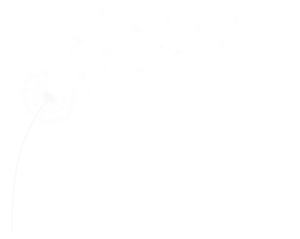 dandelion with seeds floating away