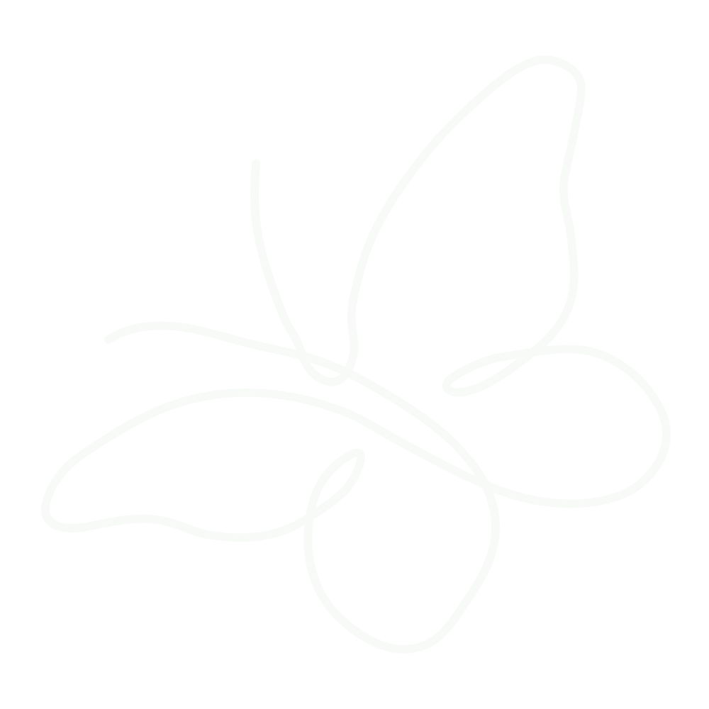line drawing of a butterfly