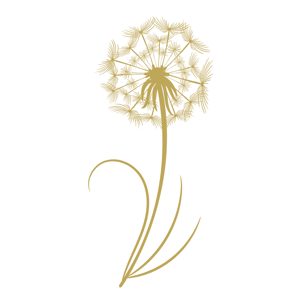 gold dandelion