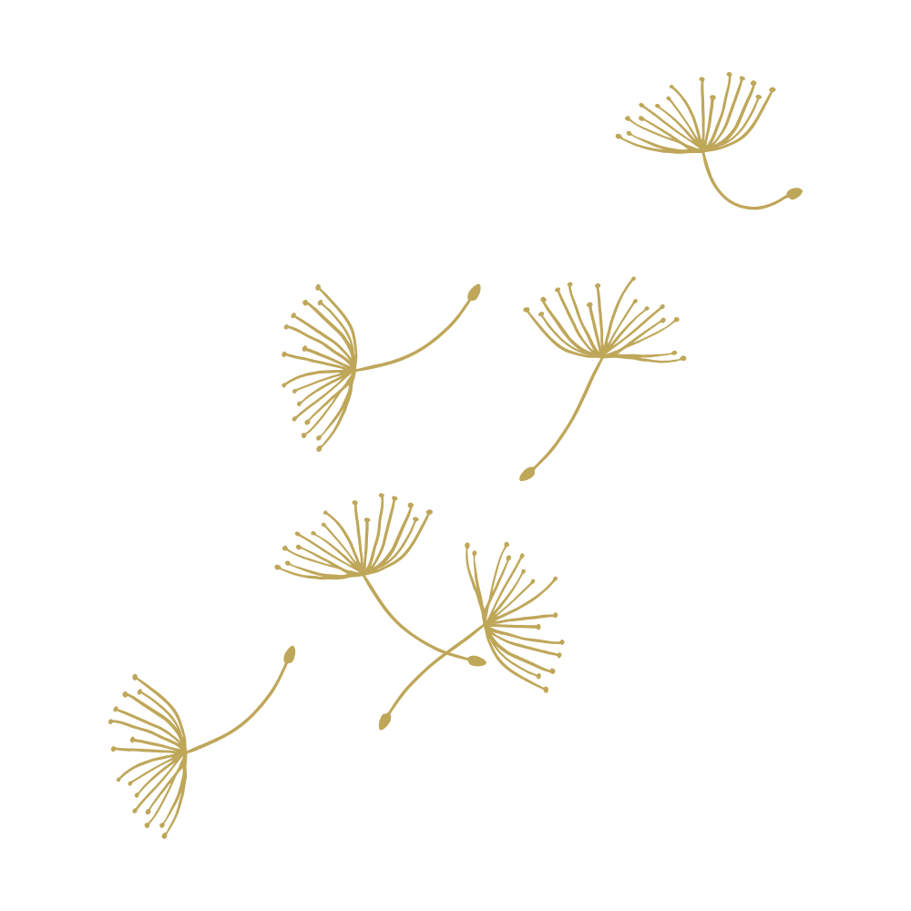 floating dandelion seeds
