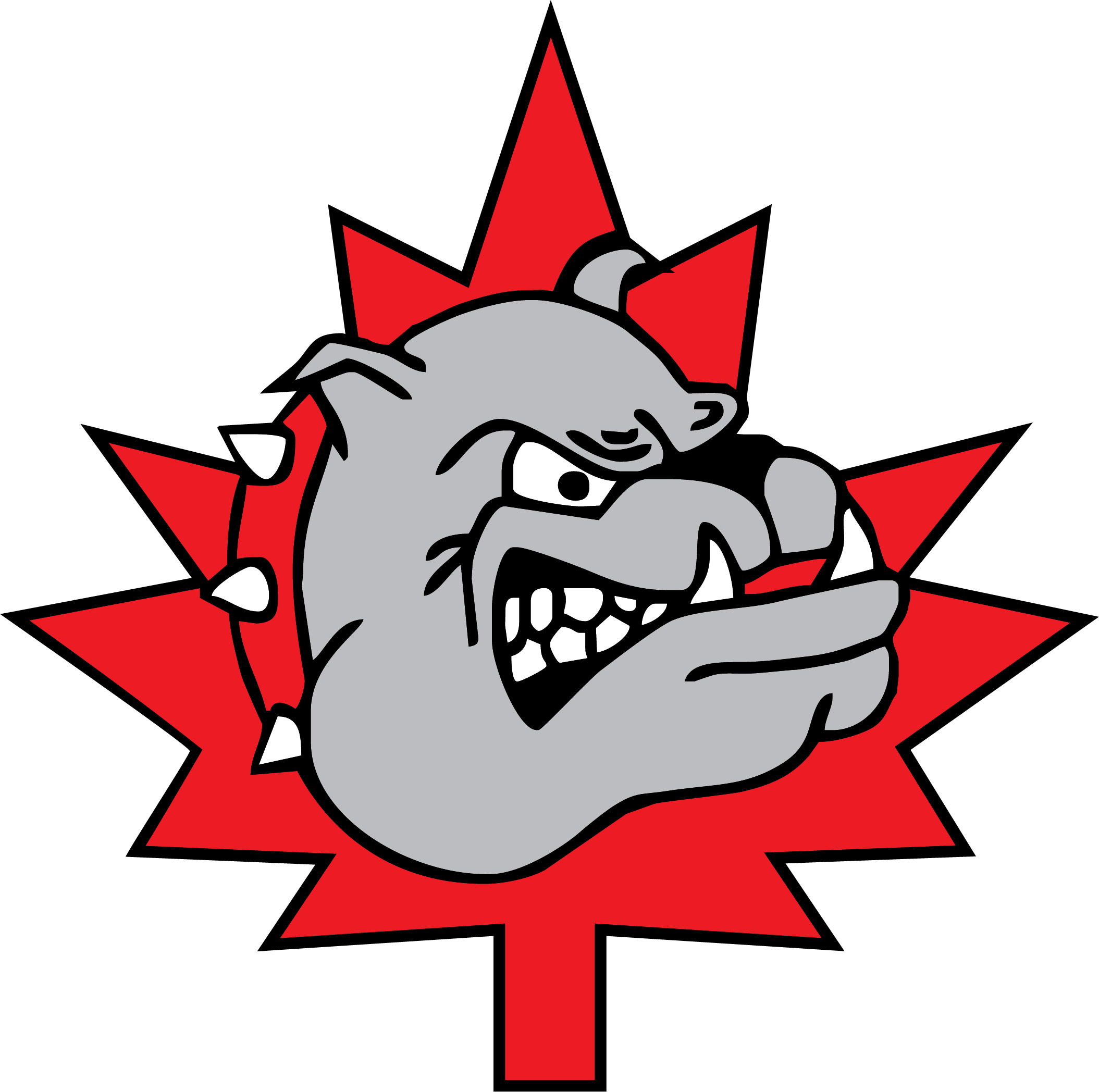 Halton Hills Bulldogs.png