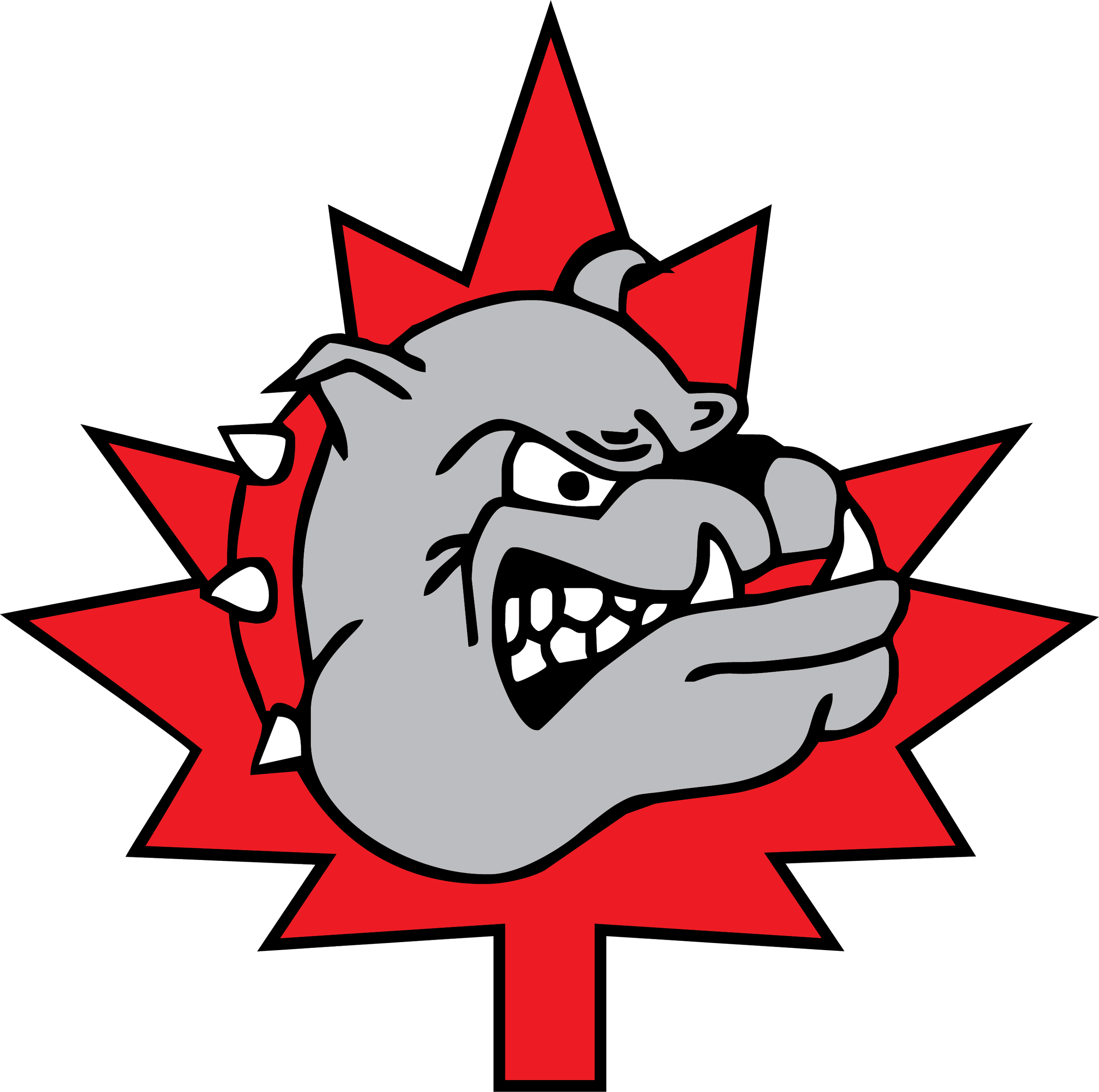 Halton Hills Bulldogs.png