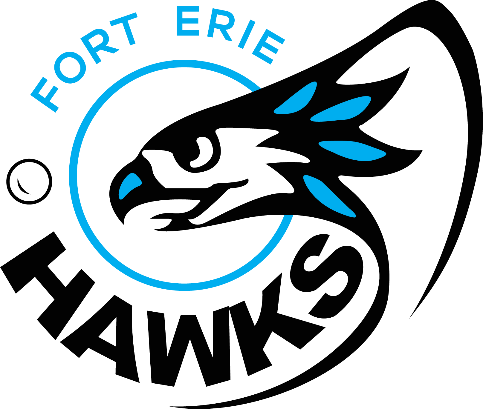 Fort Erie Hawks CYAN.png