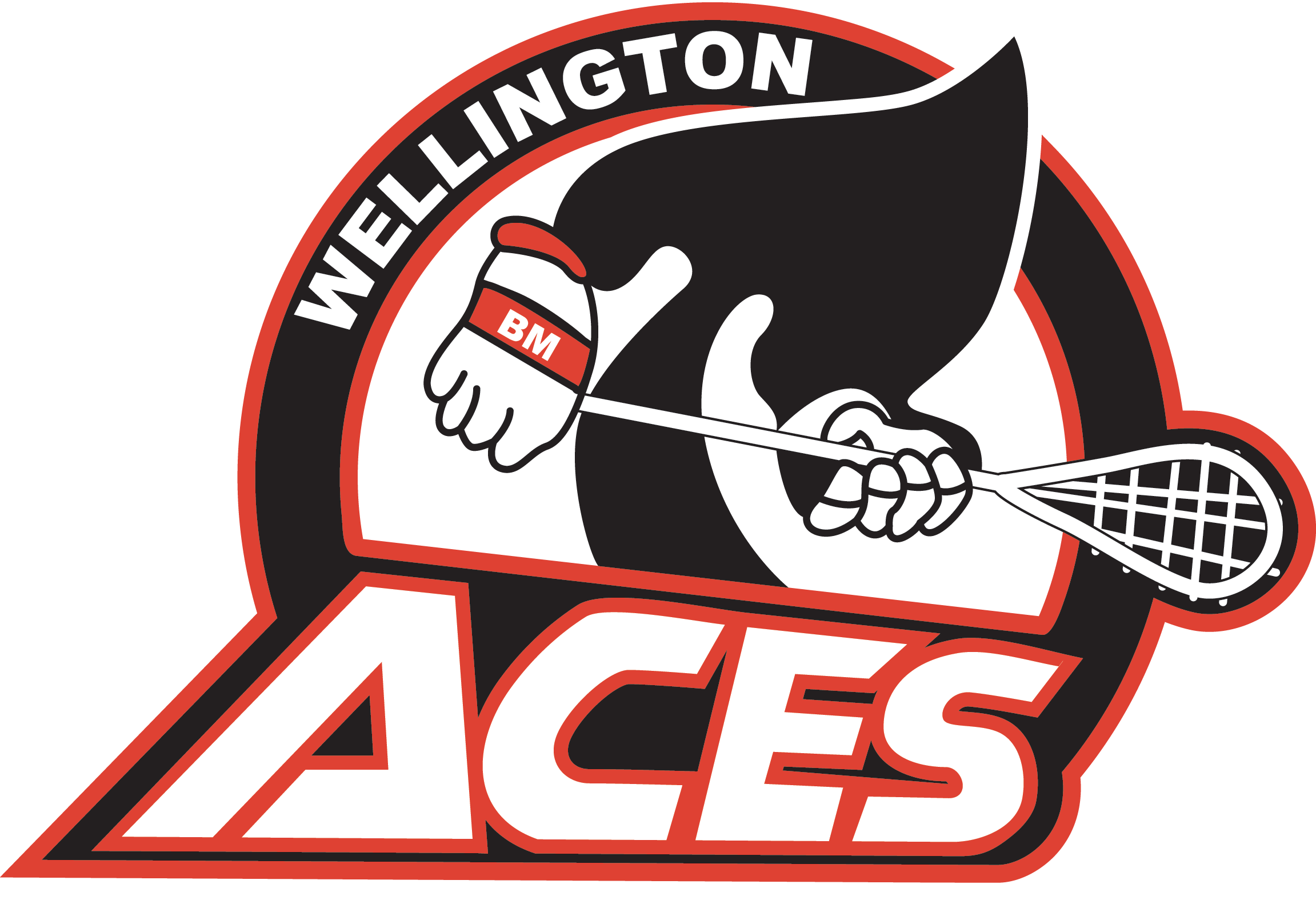 Wellington Aces.png
