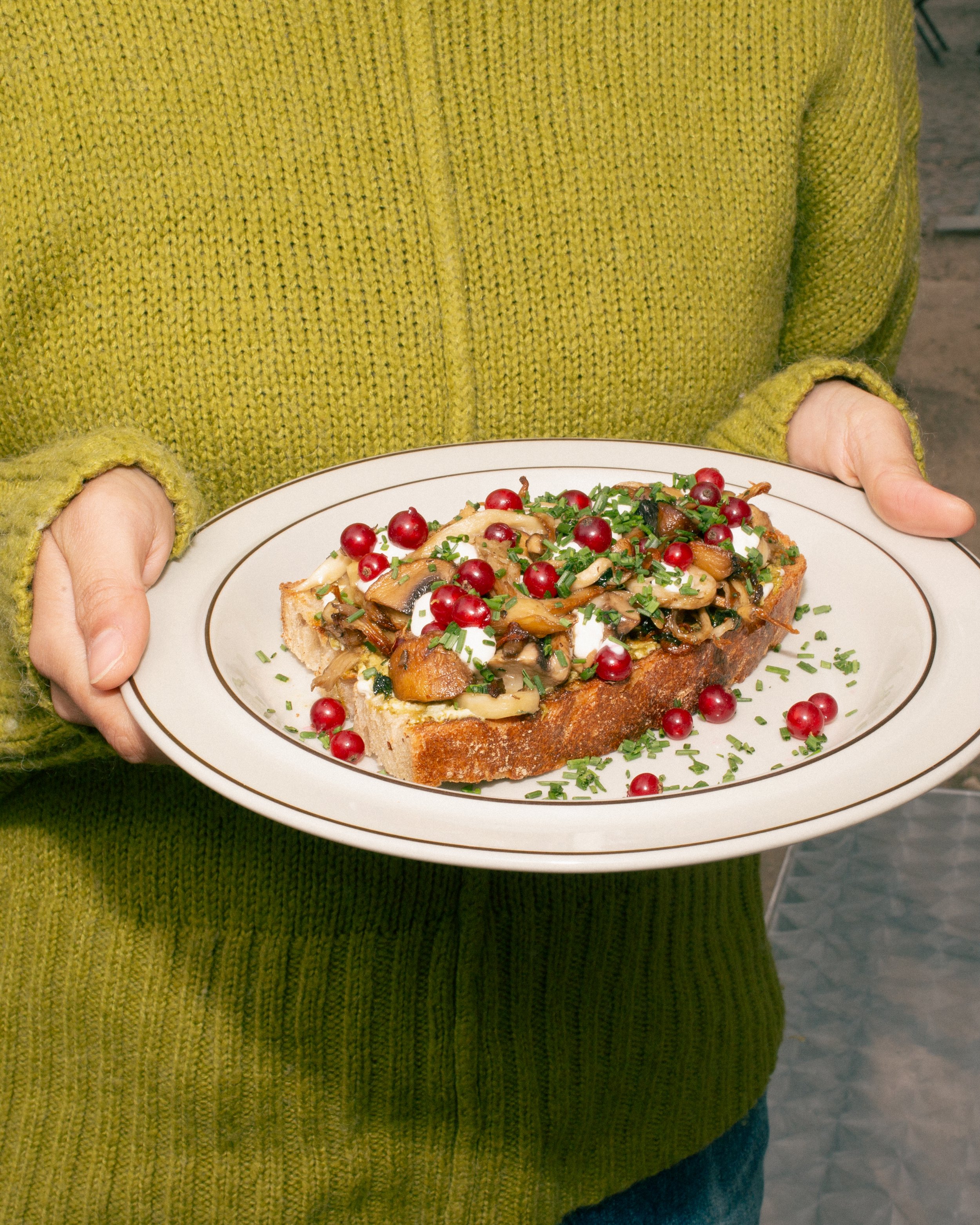 Person wearing a green sweater holding a plate with a slice of toast topped with sautéed mushrooms, herbs, garnished with cranberies and chives.