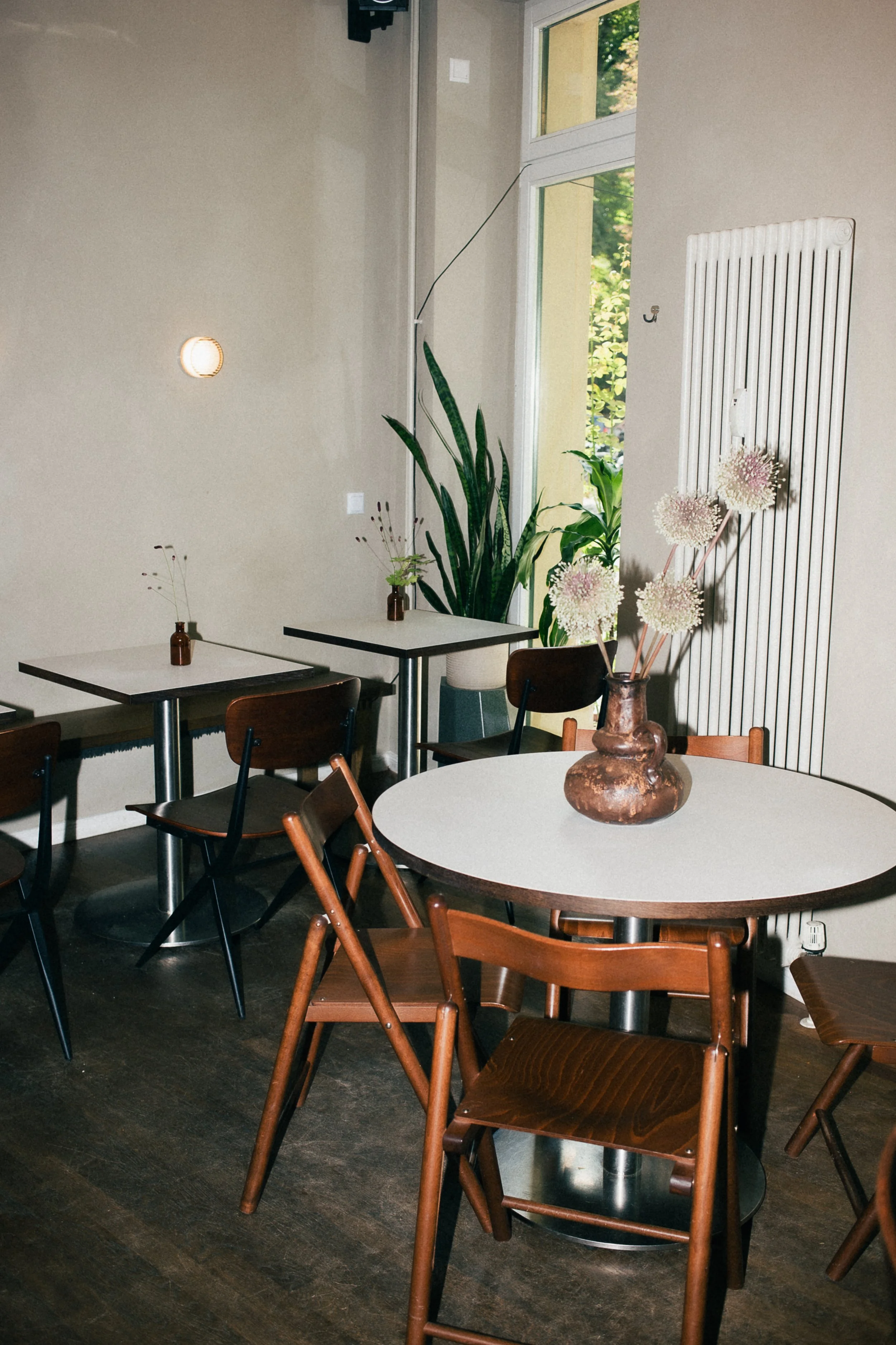 Interior of a modern specialty coffee shop in Berlin featuring a mix of wooden and black chairs, sunlit tables, and lush green plants by the window.