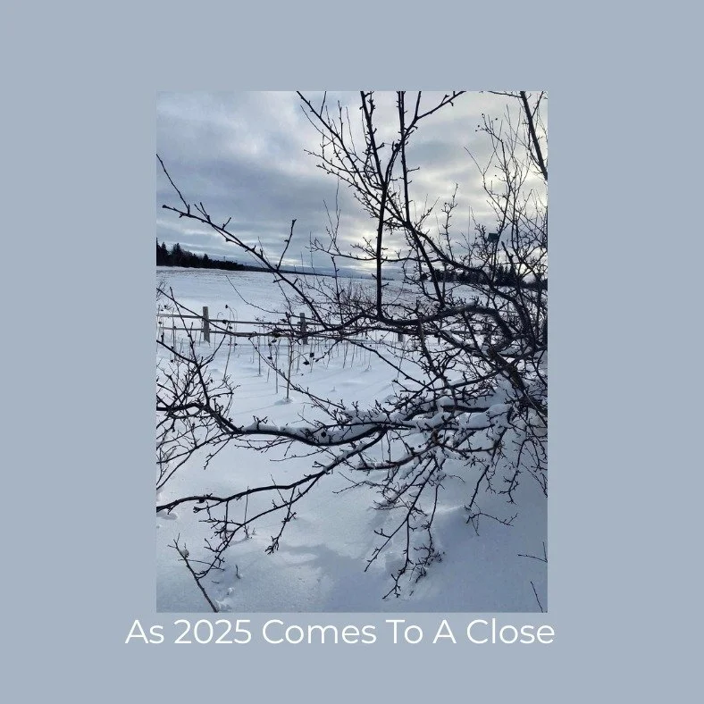 As 2025 comes to a close, I'm reflecting on what Wayward Hearts has become this year.
We've made real matches. We've helped people discover what they truly need in a partner. We've created a community where genuine connection matters more than swipin