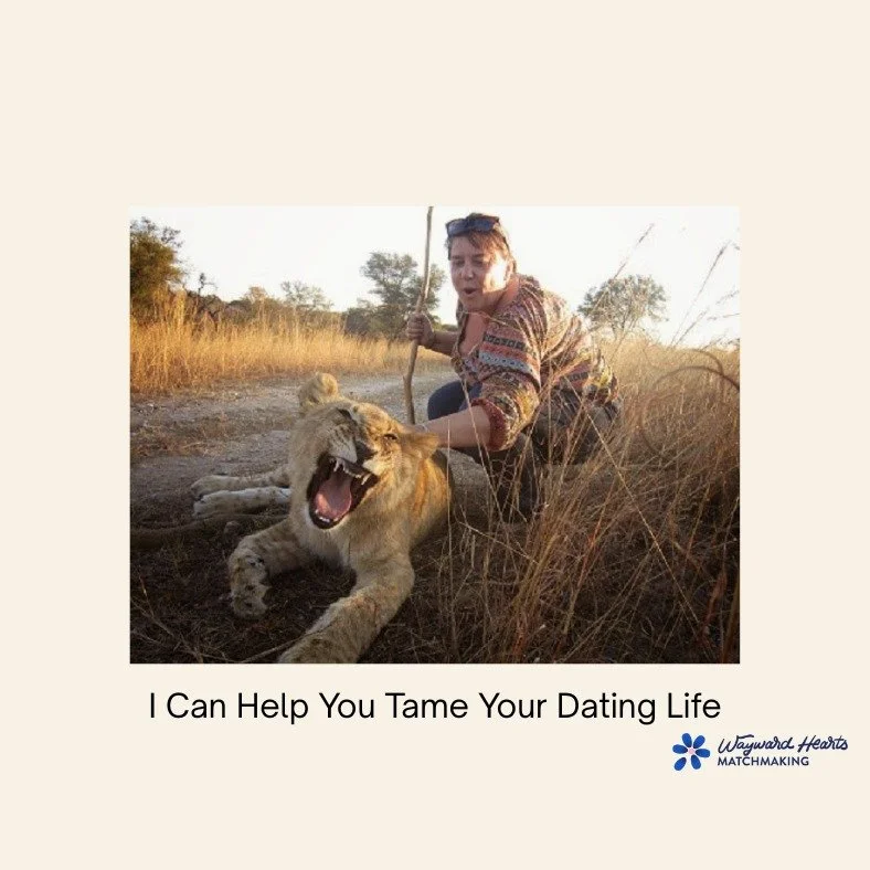 This is me in Zimbabwe, walking with wild lions at Antelope Park - a conservation project working to return lions to the wild.
It was always a dream of mine to get this close to a real lion. But first, I had to take a safety course. They made it very