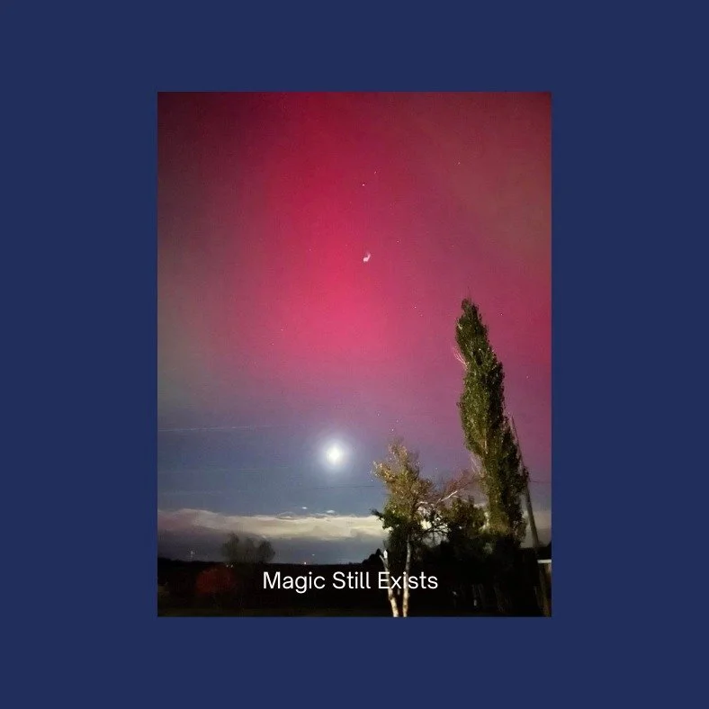 Sometimes the best part of this work isn't just the matches I make. It's the community of people who support what I'm doing.
Big thank you to Jean-eva at The Book of Love Matchmaking for sharing Wayward Hearts with her community this week. When match