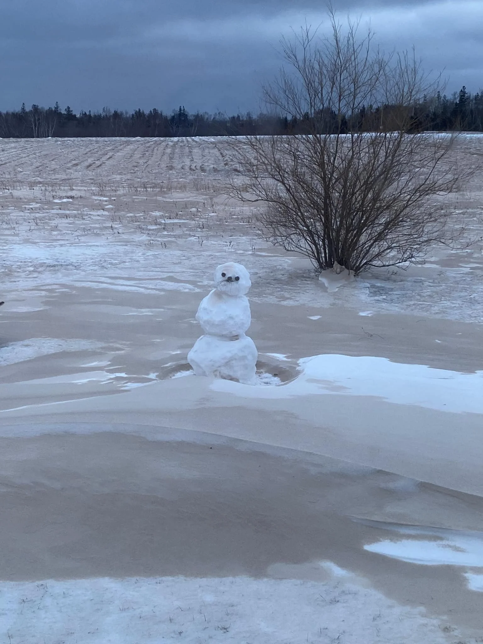 Winter Dating on PEI: How to Stay Social (and Sane) When It's -30 Outside