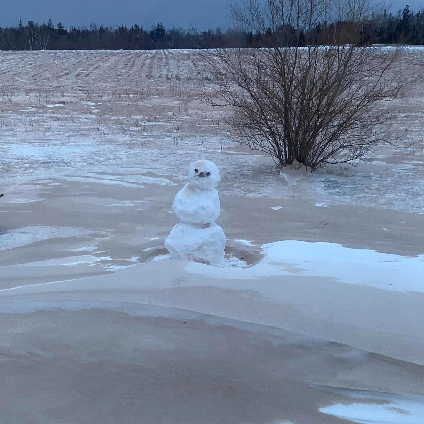Let's be honest: dating in a Canadian winter is hard. It's dark by 4:30pm, it's going to be -30 this weekend, and leaving your house feels like an Olympic achievement. But here's the thing: winter is actually one of the best times to meet people on P