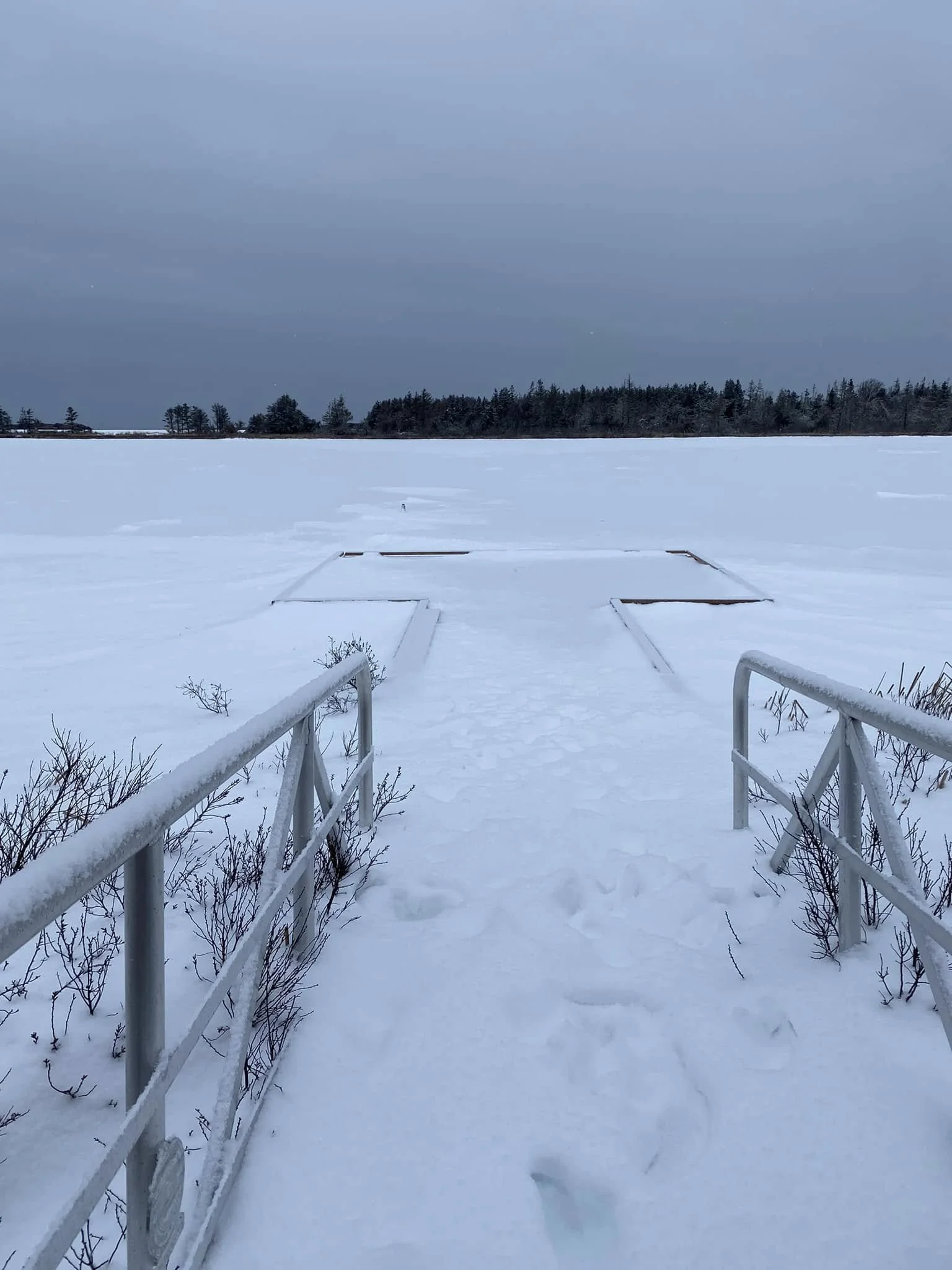 Canada's Dating Recession: What It Means for Islanders Looking for Real Connection