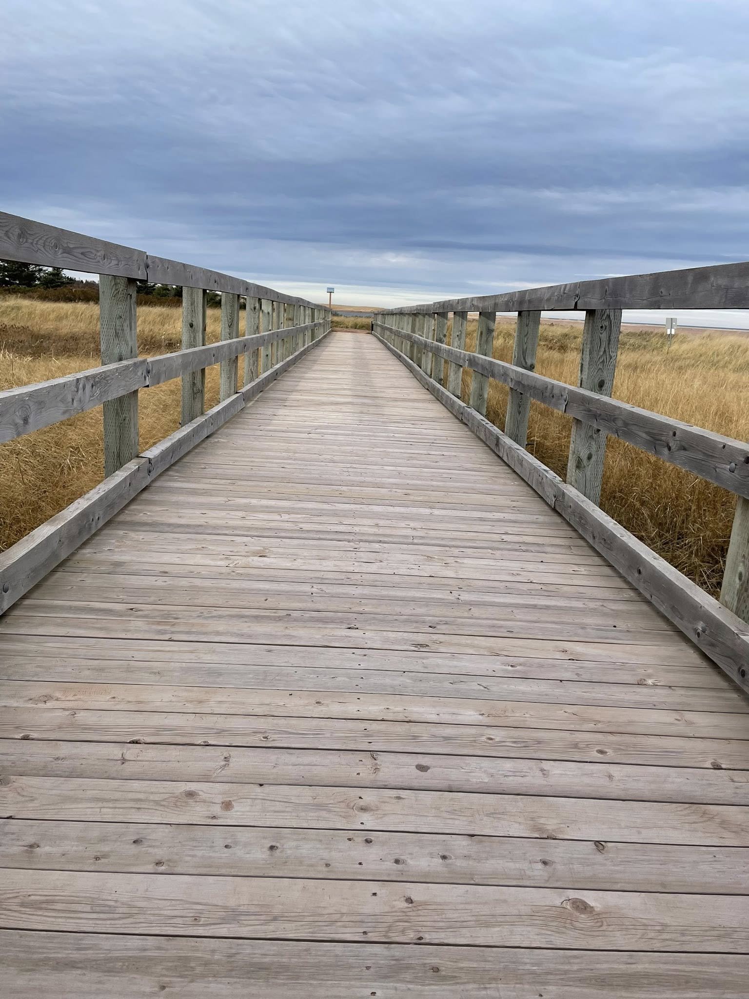 Why Don't I Meet Good People? A PEI Matchmaker's Honest Answer