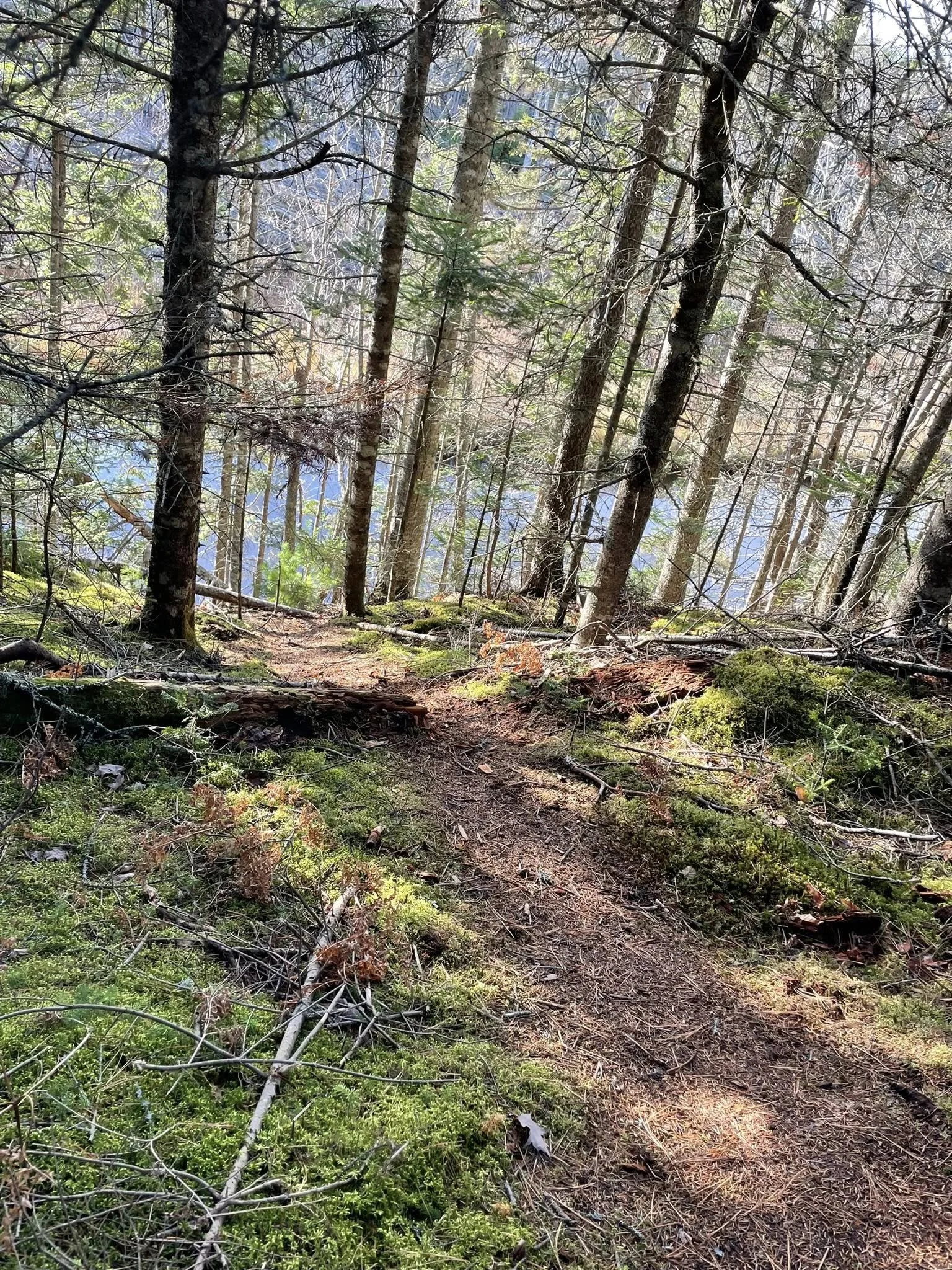 Why First Dates Feel So Scary (And Why That's Actually Okay)