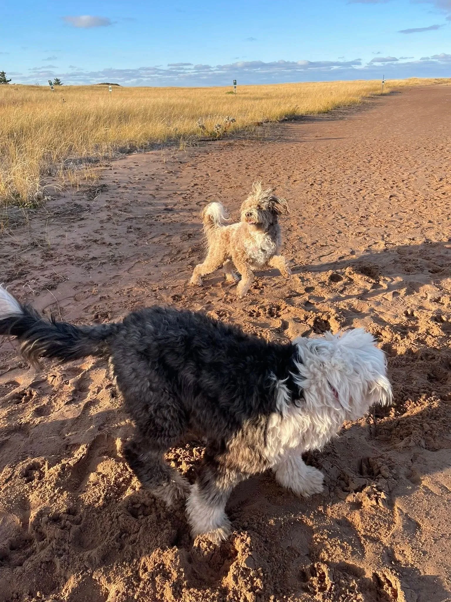 Stop Auditioning Strangers. Start Meeting People You Actually Like.