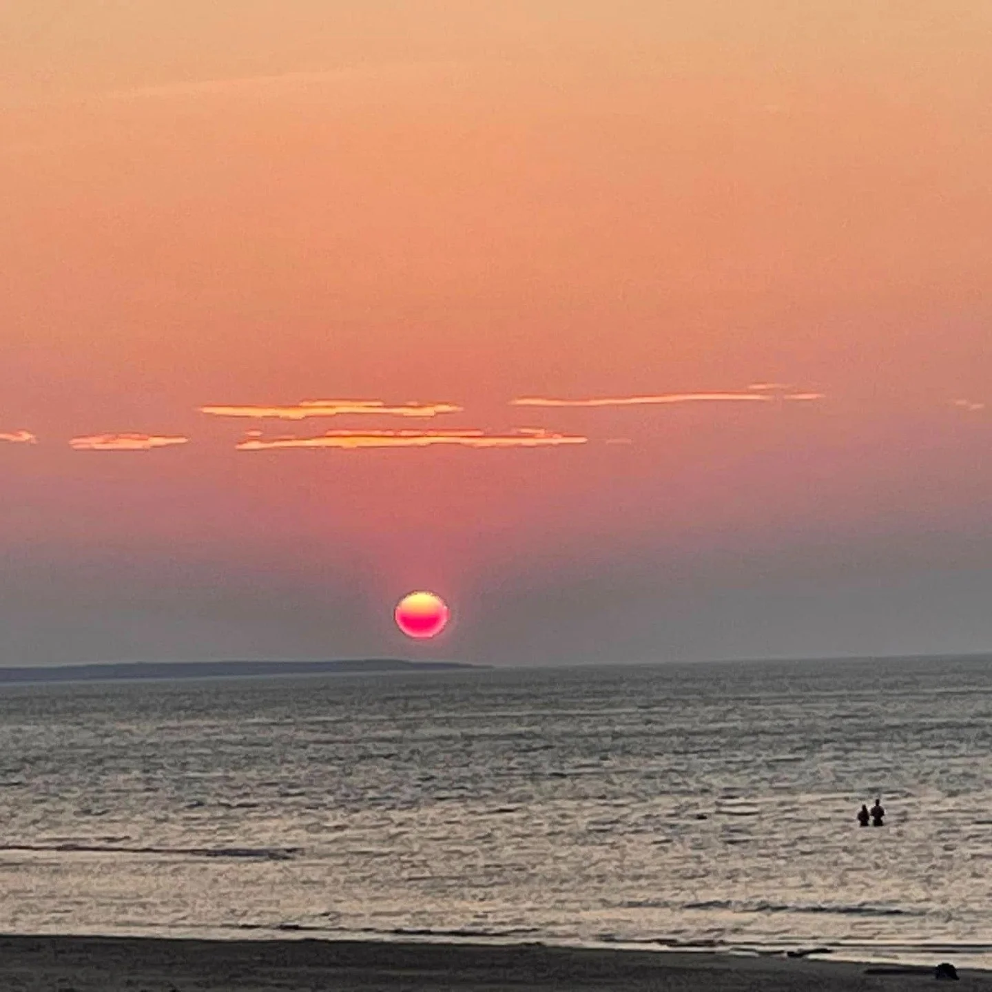 This week has been a record week for Wayward Hearts.
Five introductions arranged. Three happening this weekend. Ten people on this island about to meet someone I genuinely believe is worth their time.
Less than a year in and I am still surprised by w
