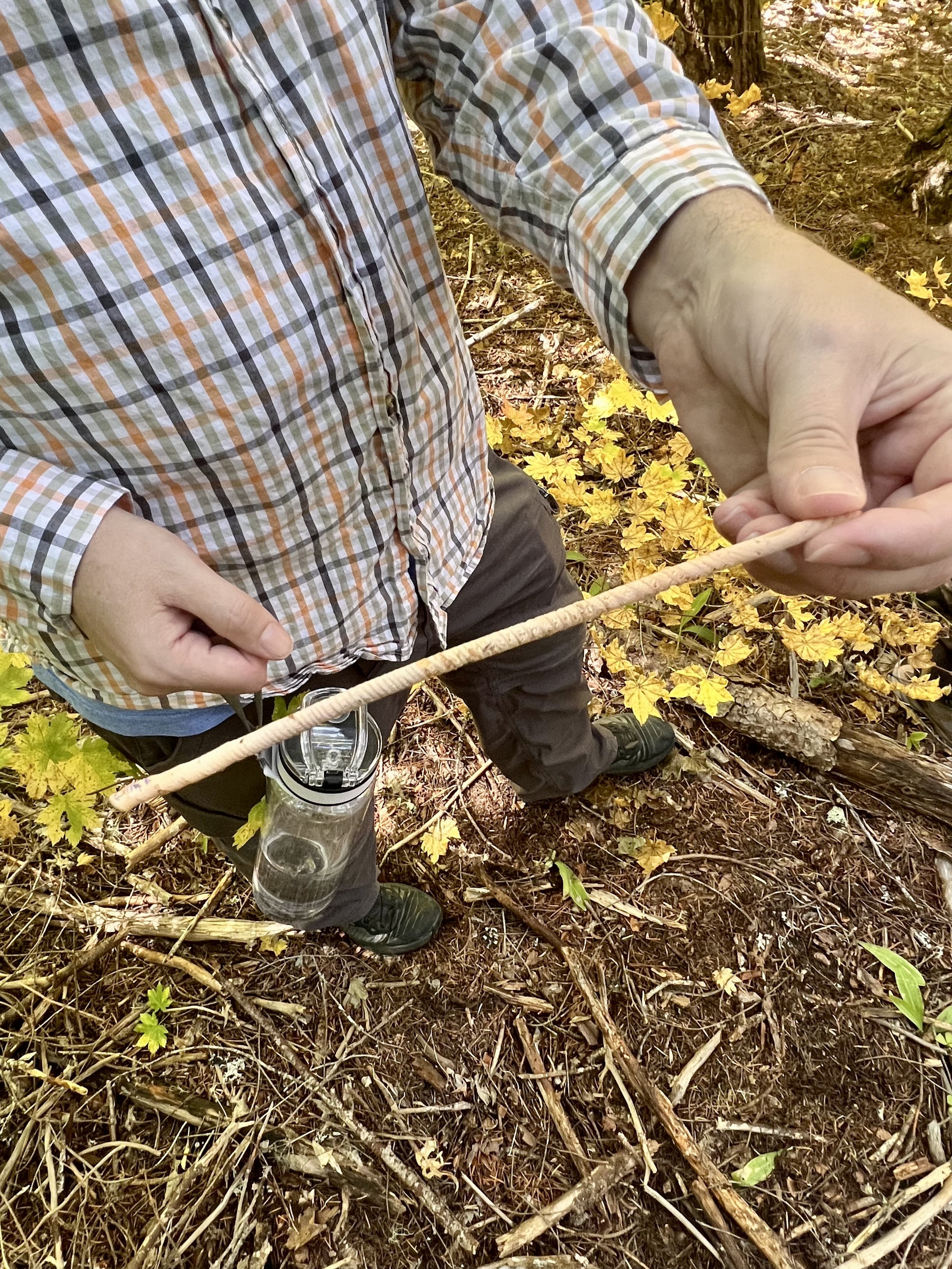 IMG_0236.jpeg