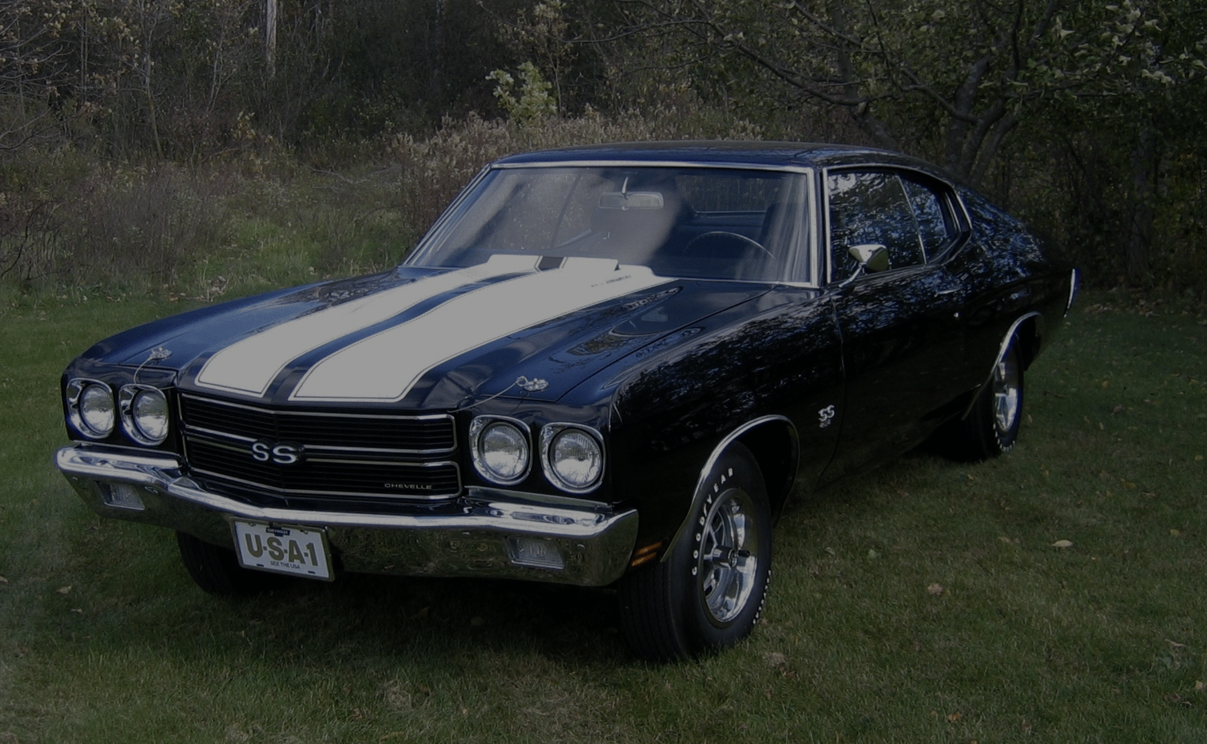 Vehicles &amp; Petroliana