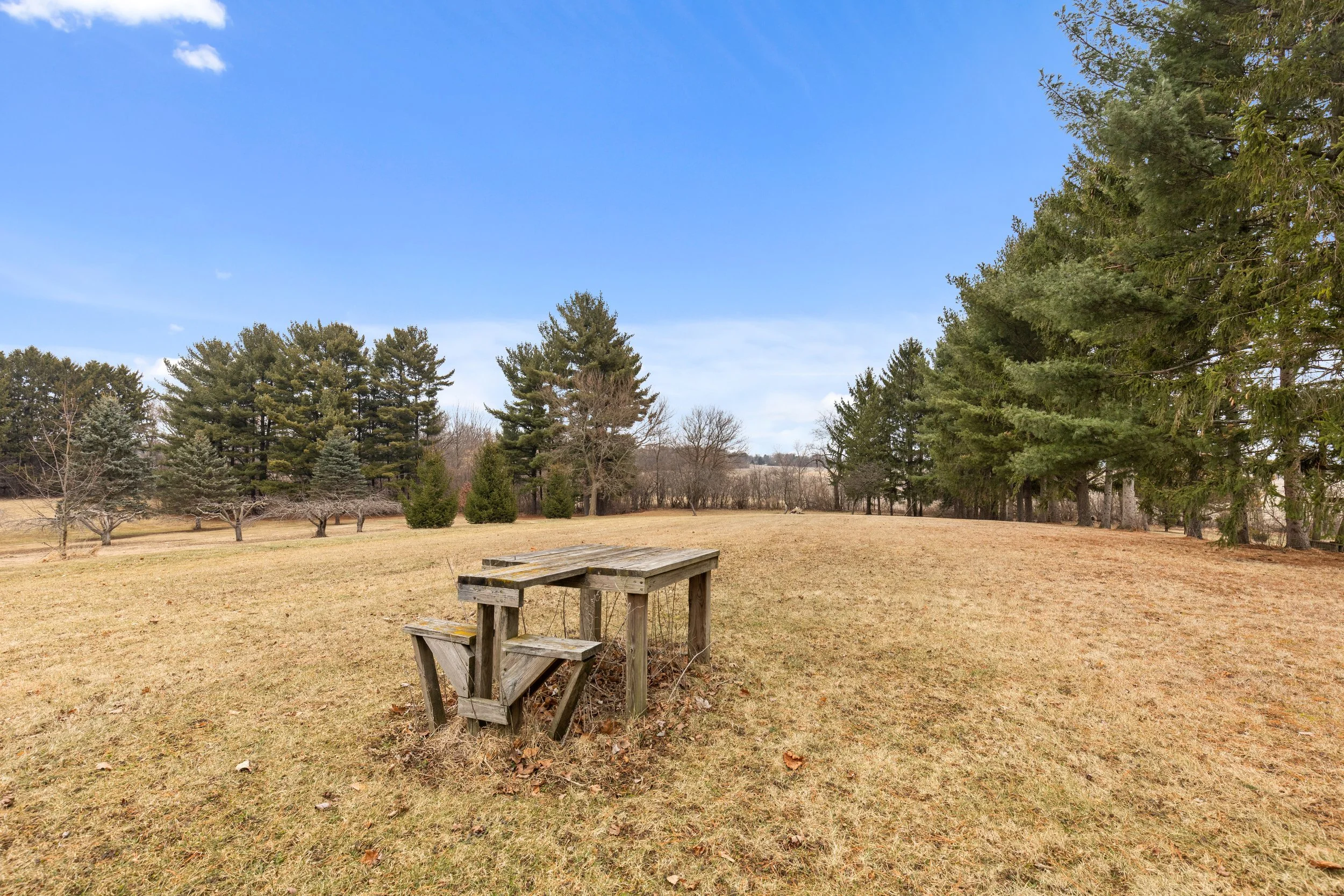 photo mar 04 2026, 3 26 25 am.jpeg