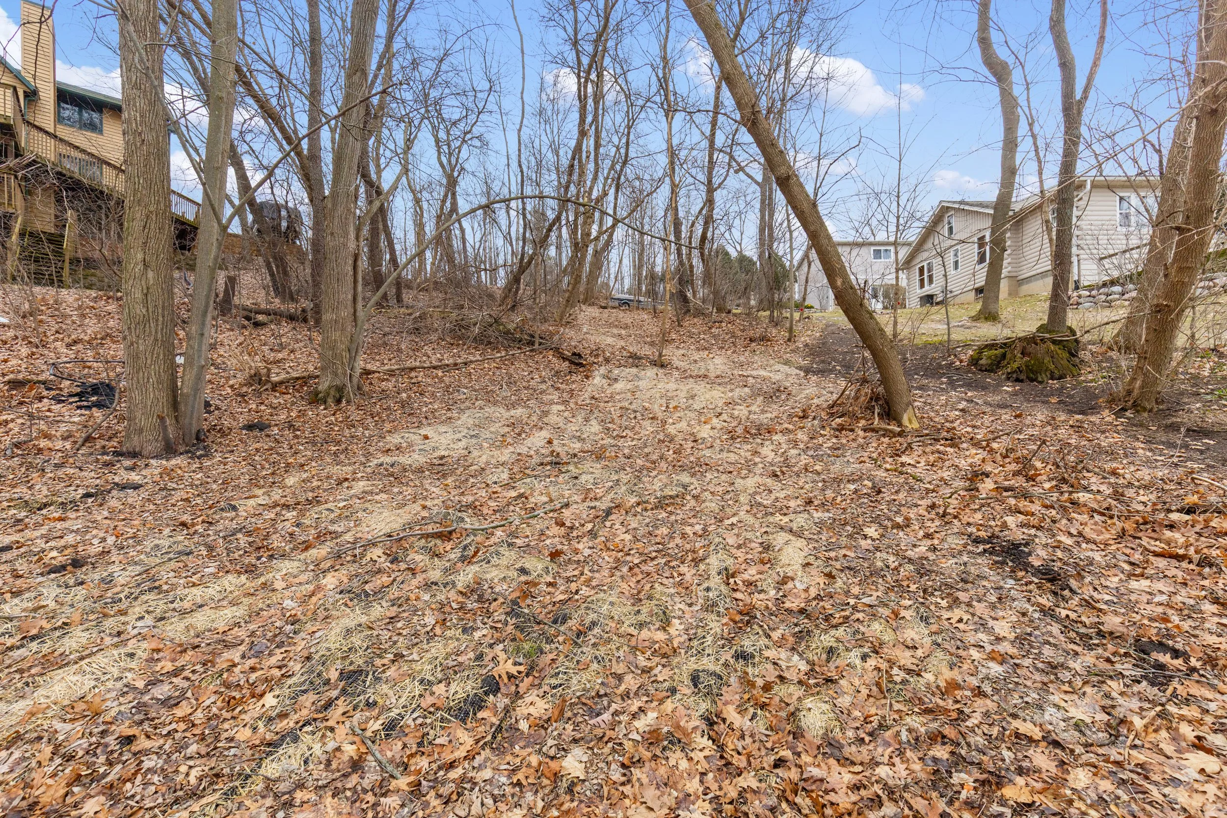 4_photo mar 12 2026, 9 12 41 pm.jpeg