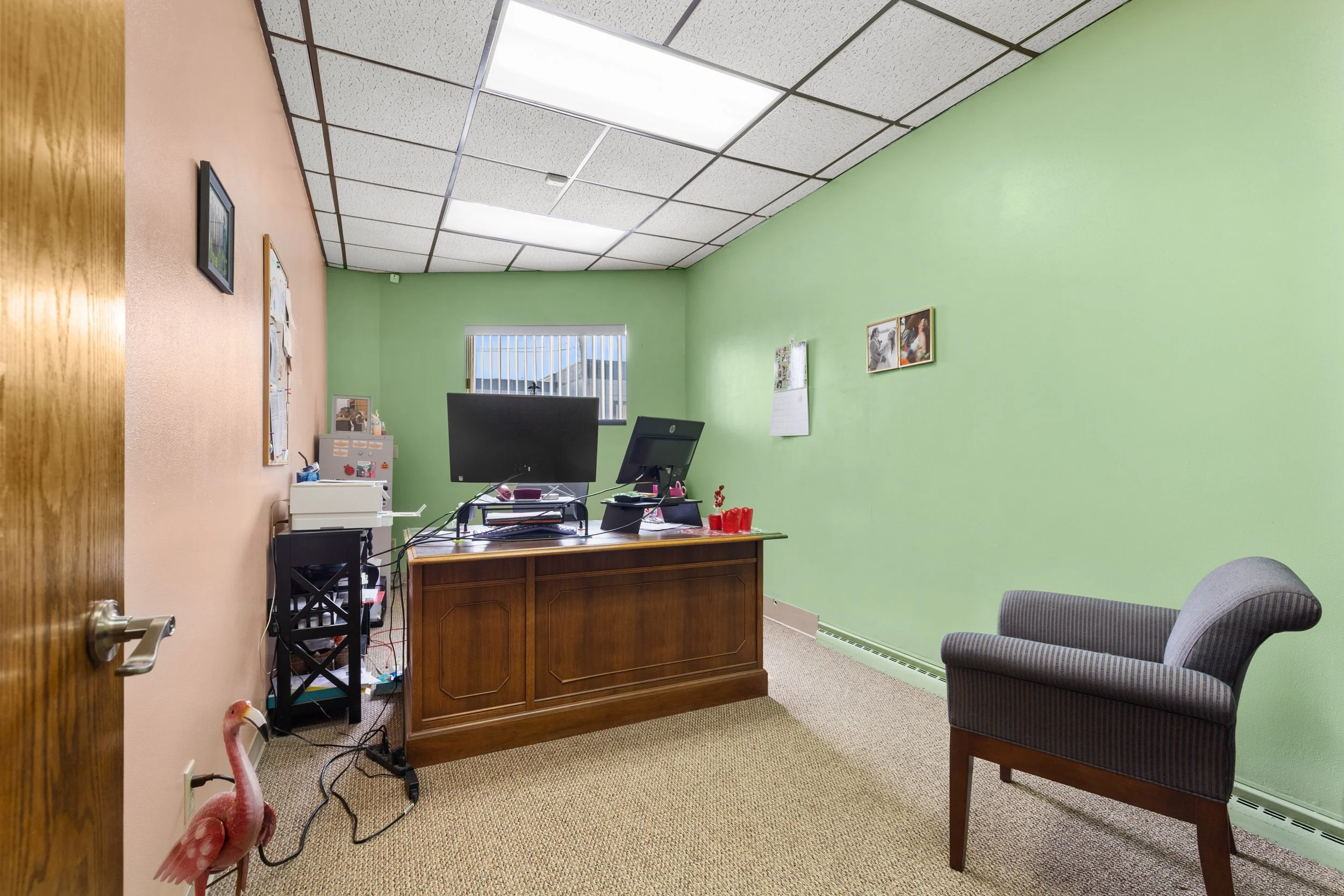 photo mar 17 2026, 2 00 14 am.jpeg