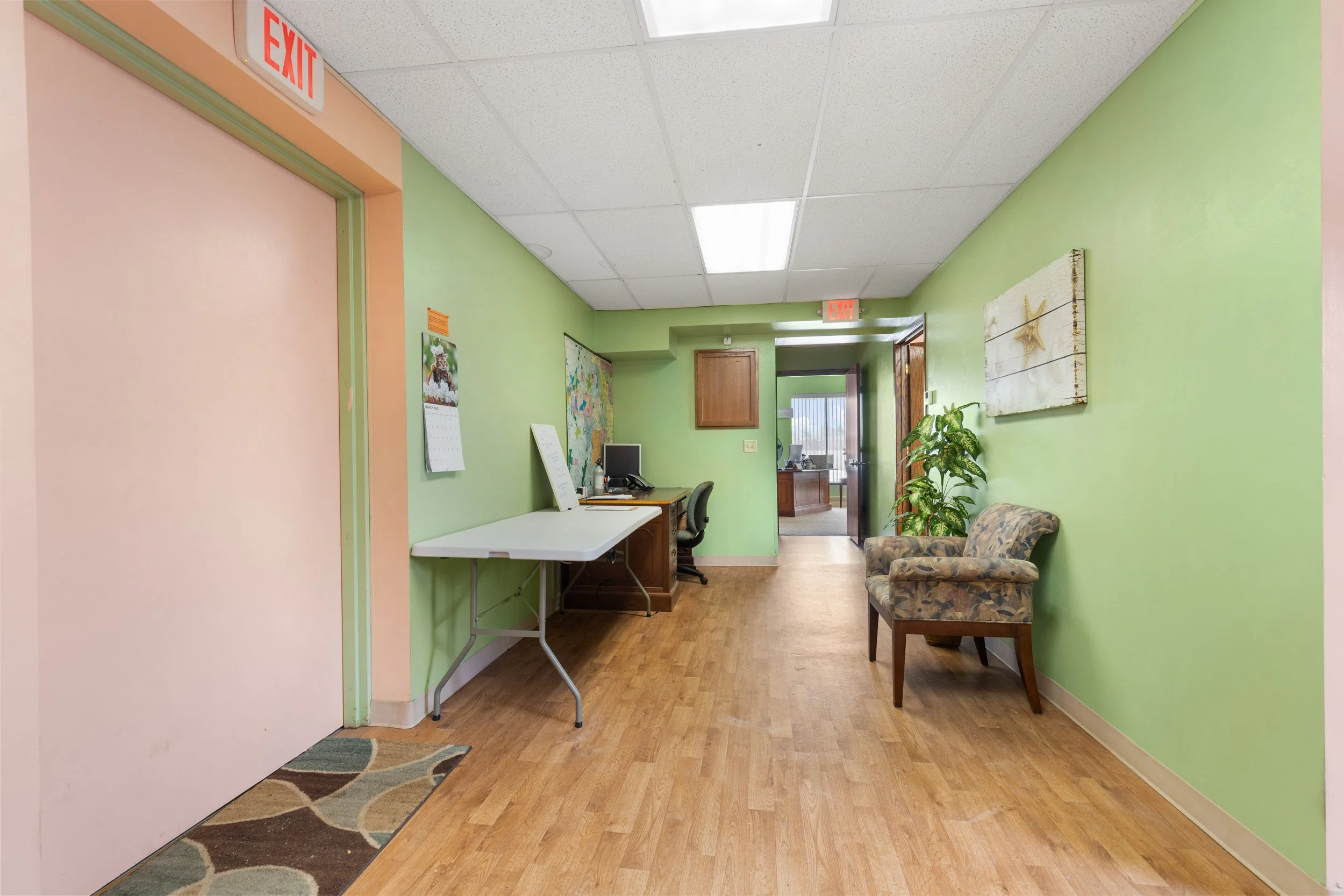 photo mar 17 2026, 2 16 00 am.jpeg