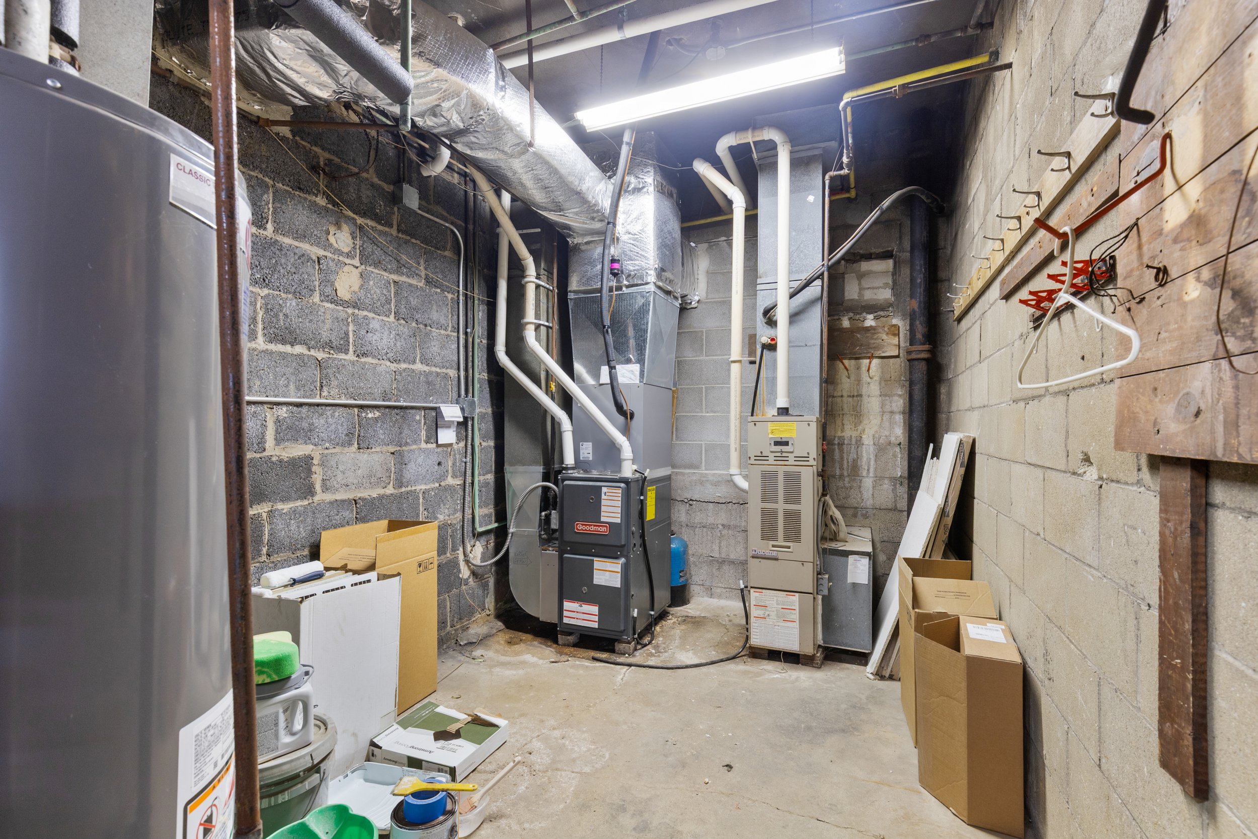 photo mar 17 2026, 2 24 30 am.jpeg