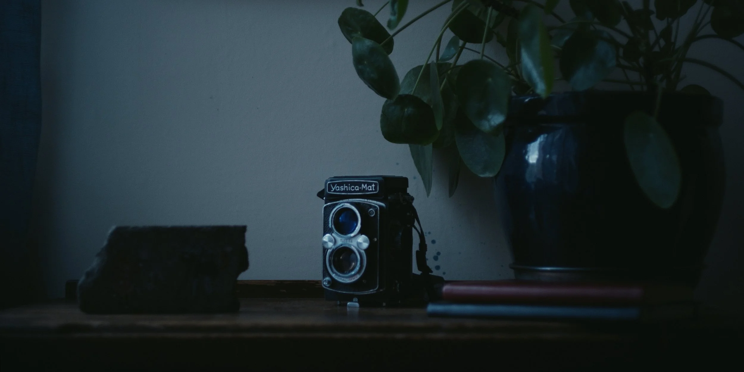 Ilford-Lucy_1.1.2.jpg