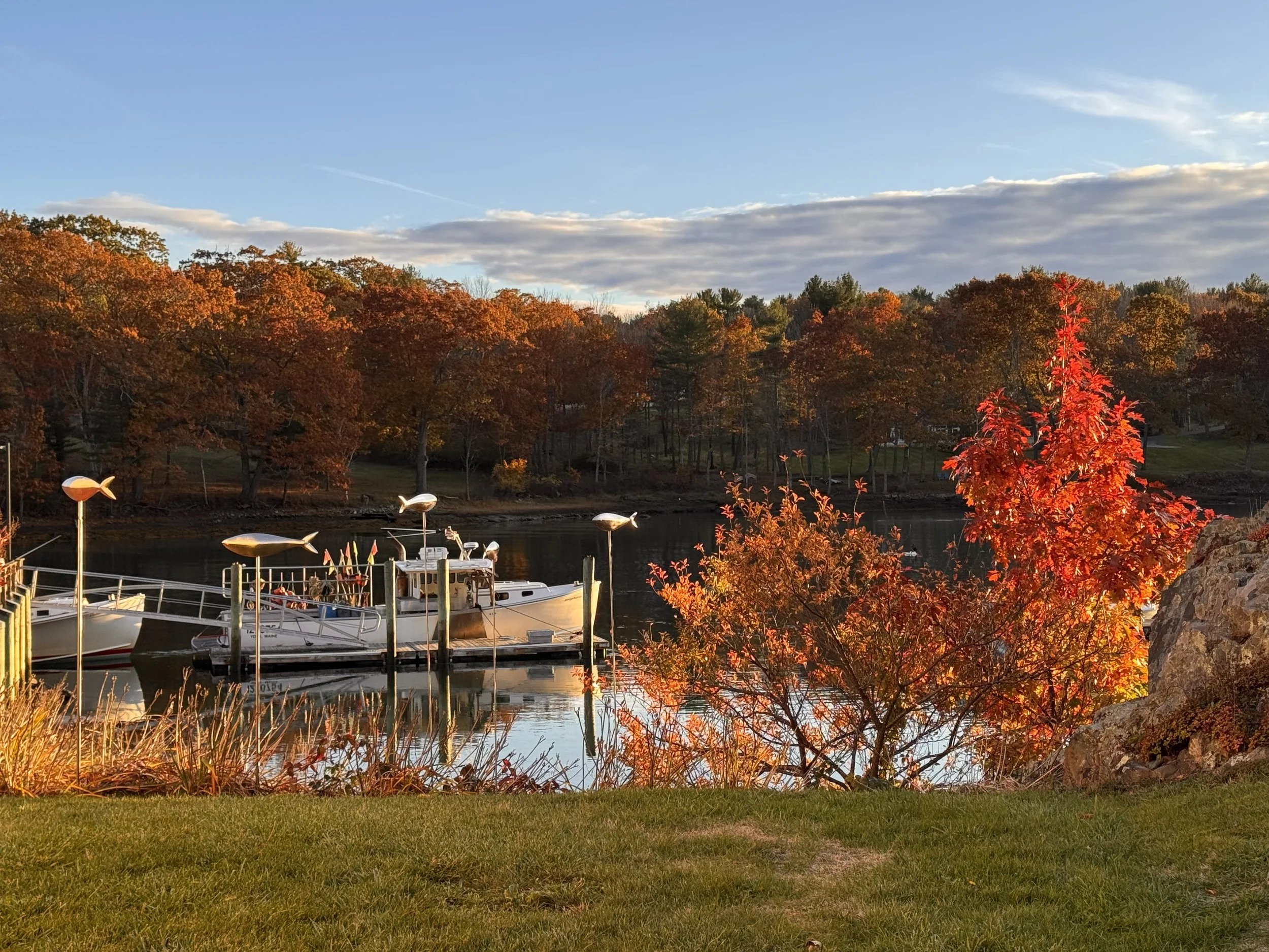 The Last Gold Hour: Honoring Autumn’s Close and Welcoming Stick Season
