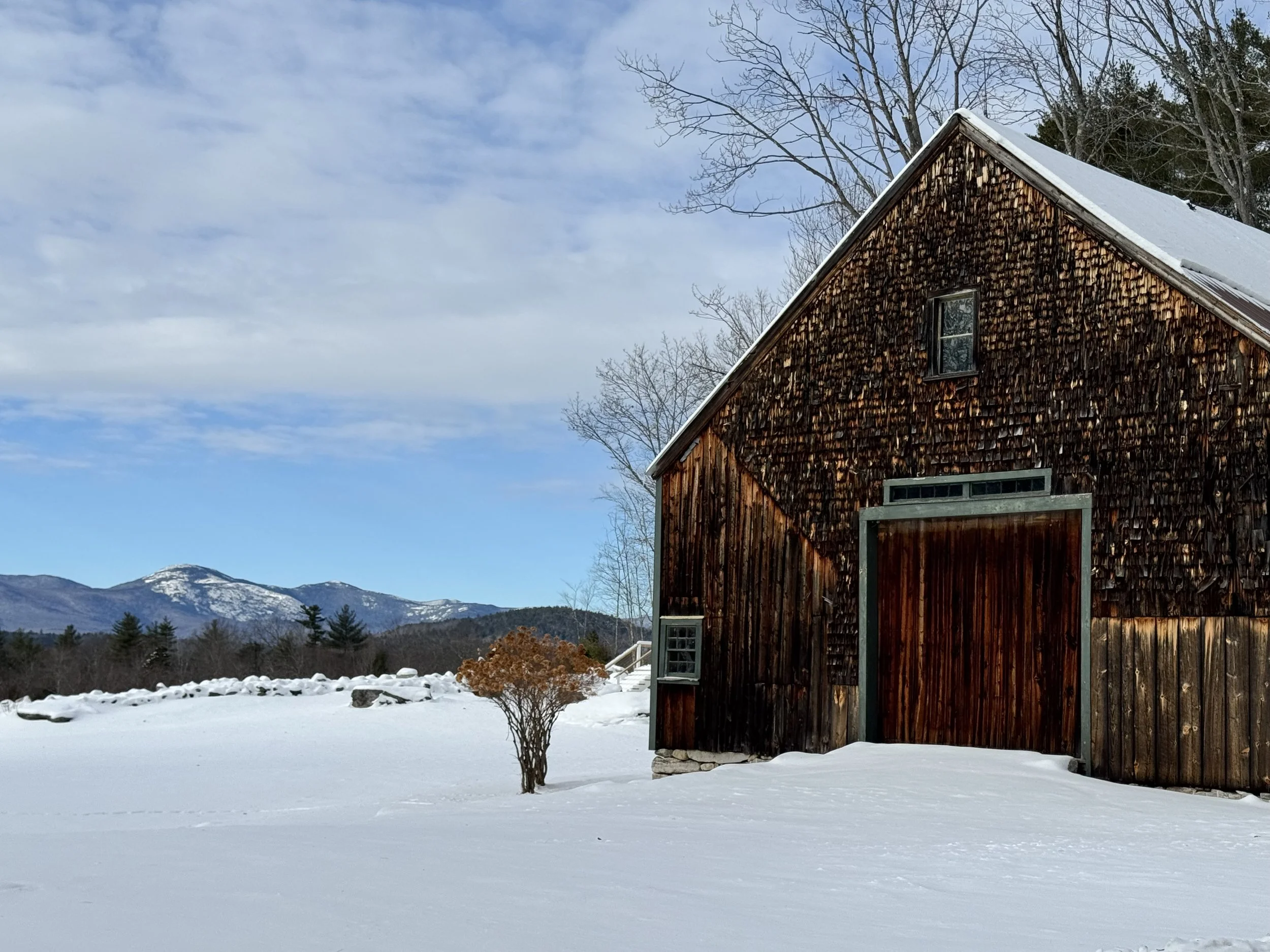 The Long Way Home: A Winter Odyssey and the Roadmap for 2026