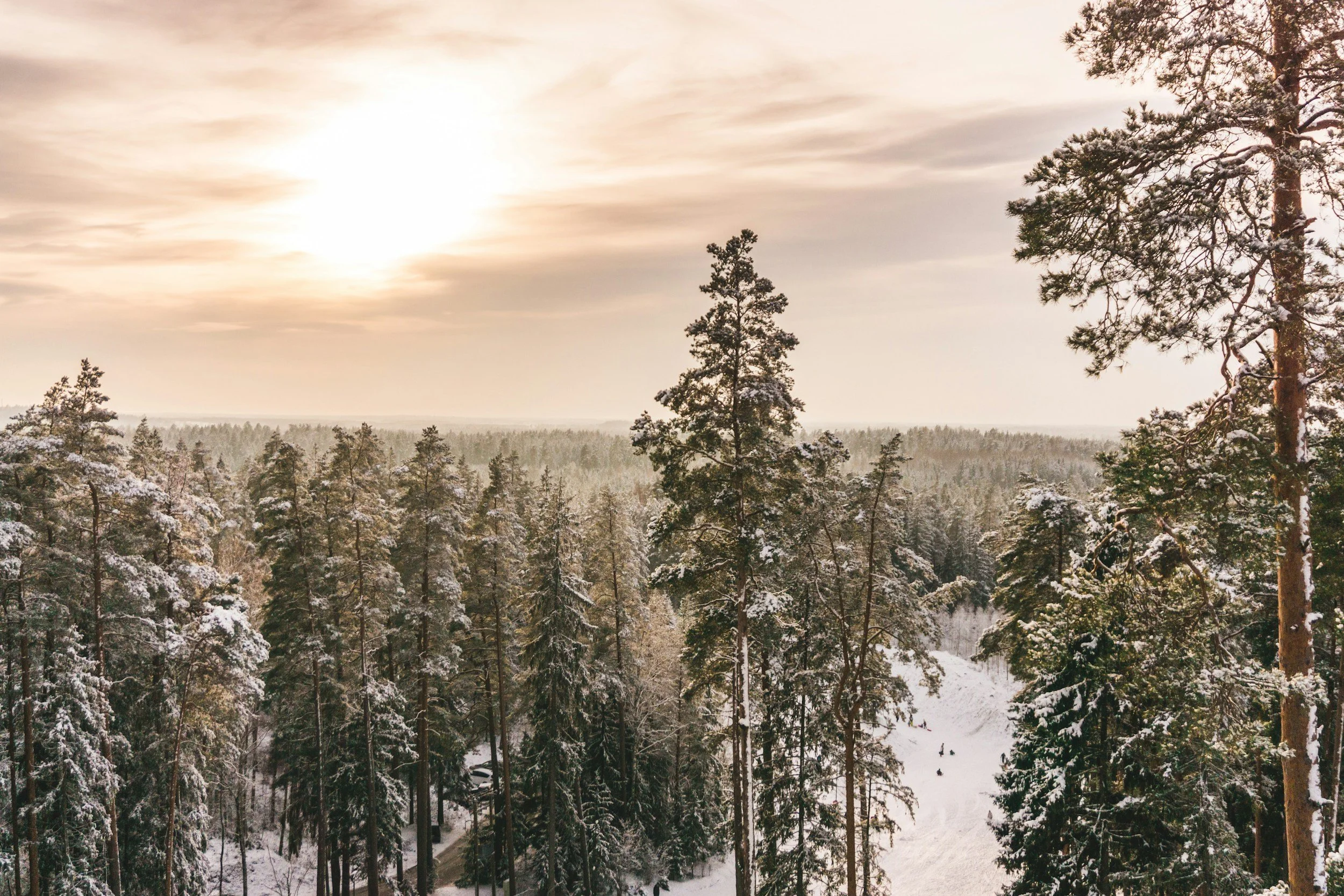 The Weight of the White: Finding the Granite Under the Drift