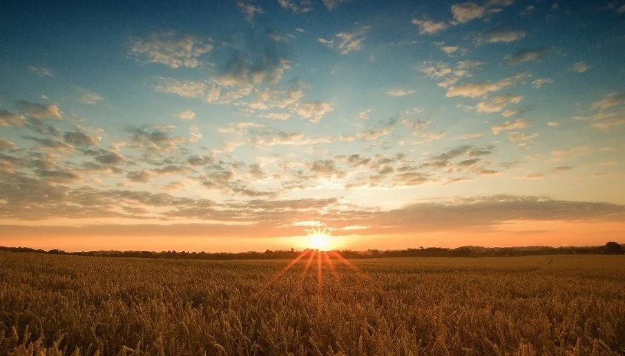 From Intention to Action: Choosing Your Word for the Year