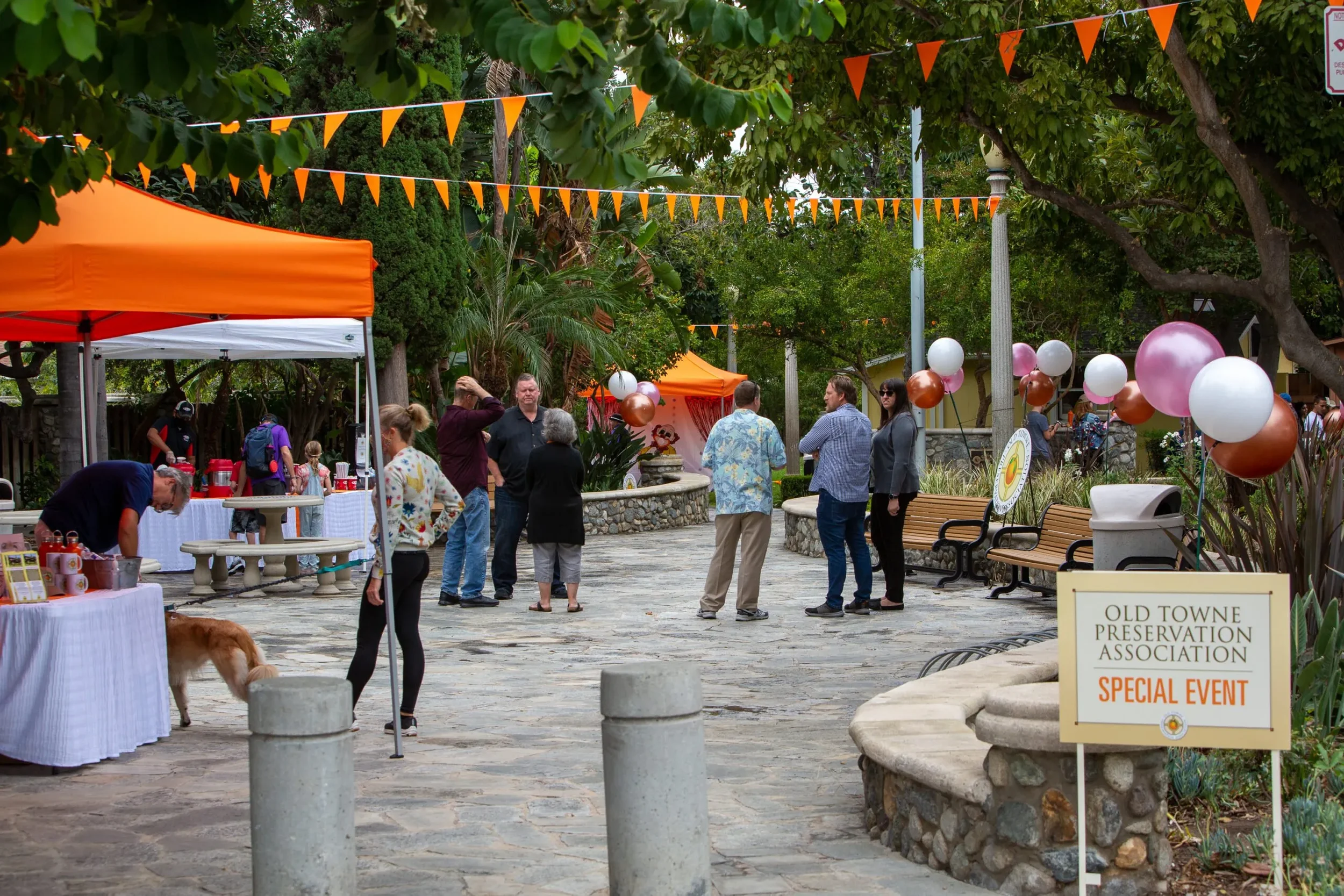 What OTPA Membership Looks Like: An Exclusive Night Inside Old Towne History