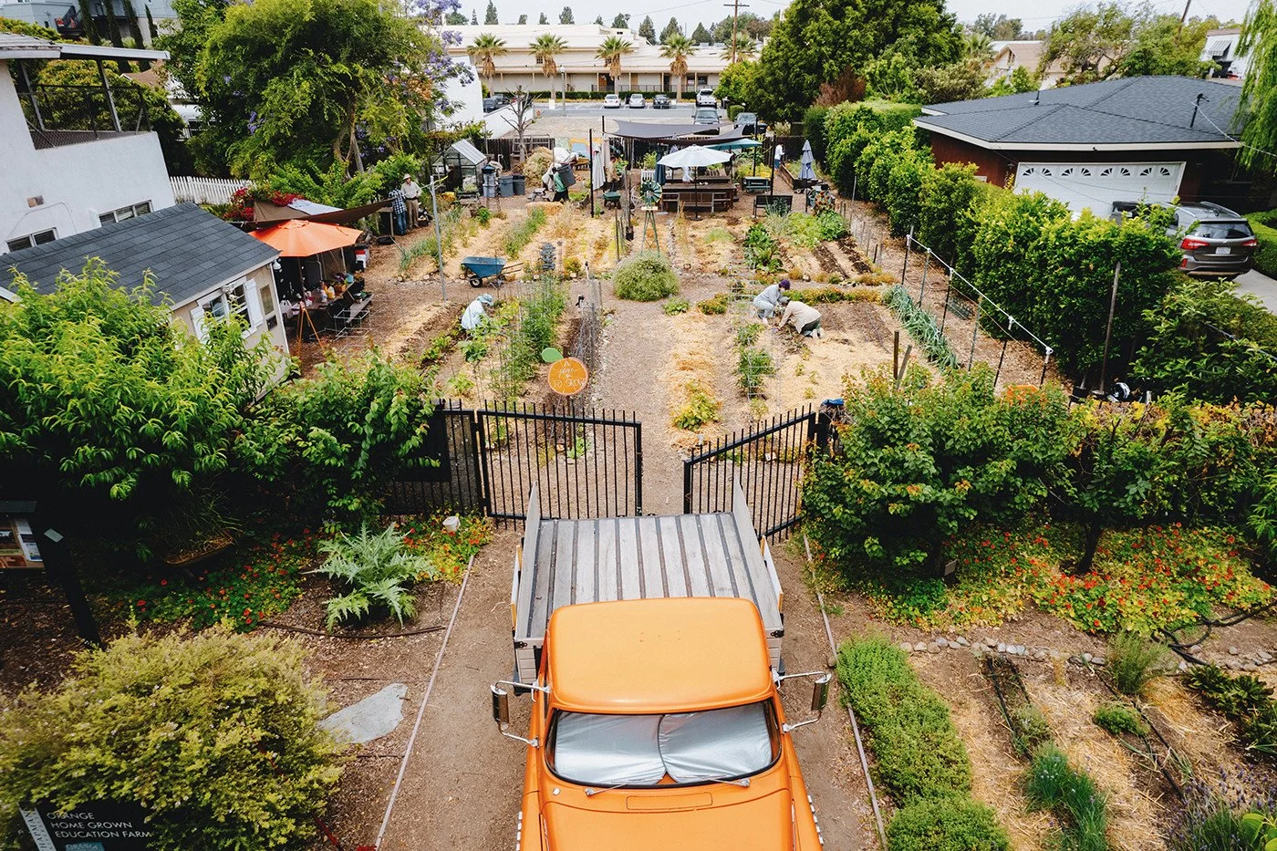 Learning Where Food Comes From at the Orange Home Grown Education Farm