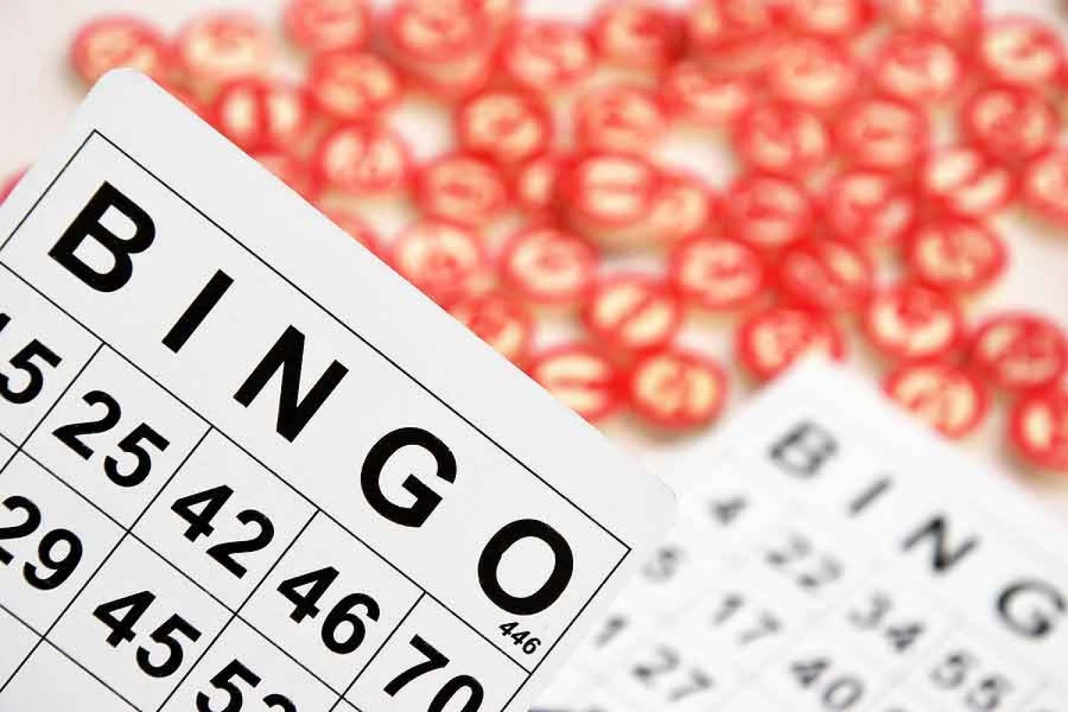 A Community Bingo Night Supports Local Programs in Orange