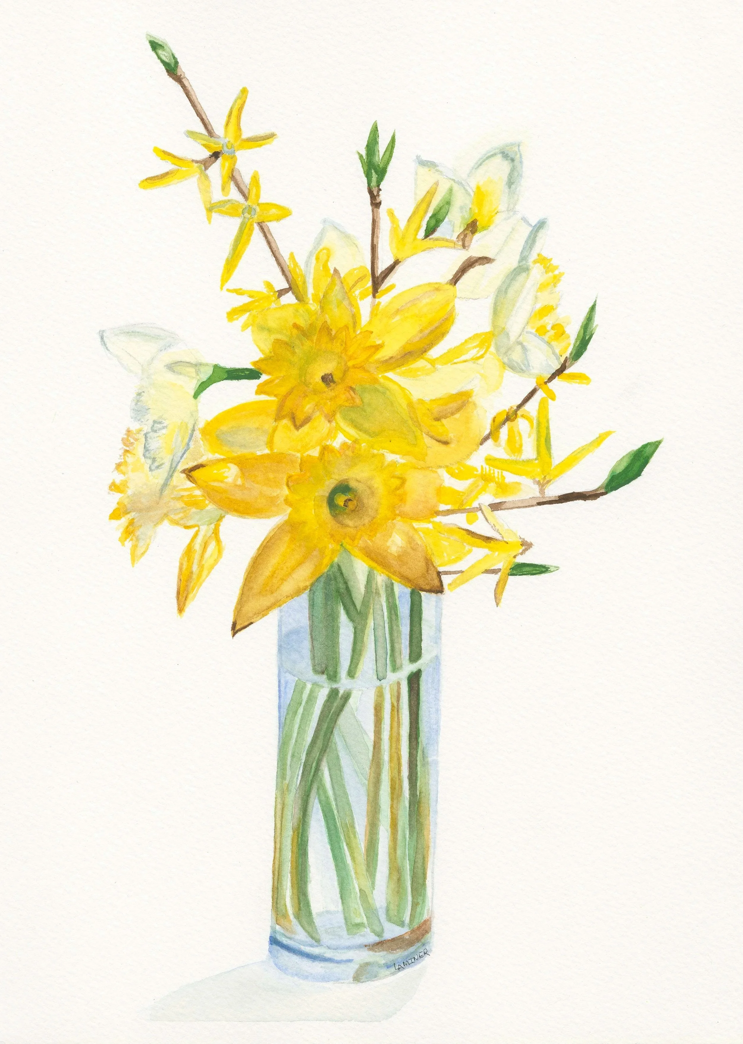 Daffodils and Buds  - Prints Available