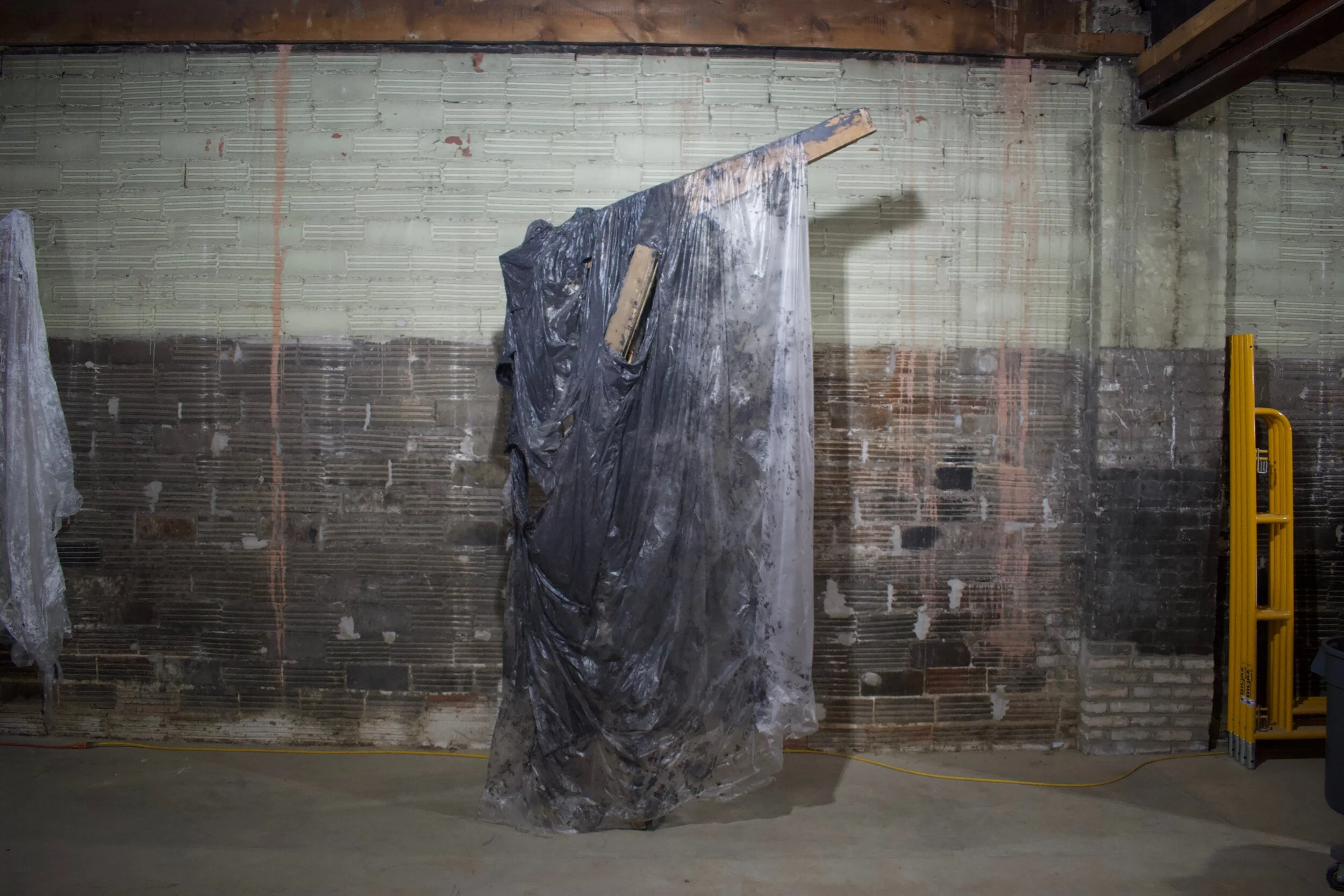 tall like my own dinosaur (image 2)