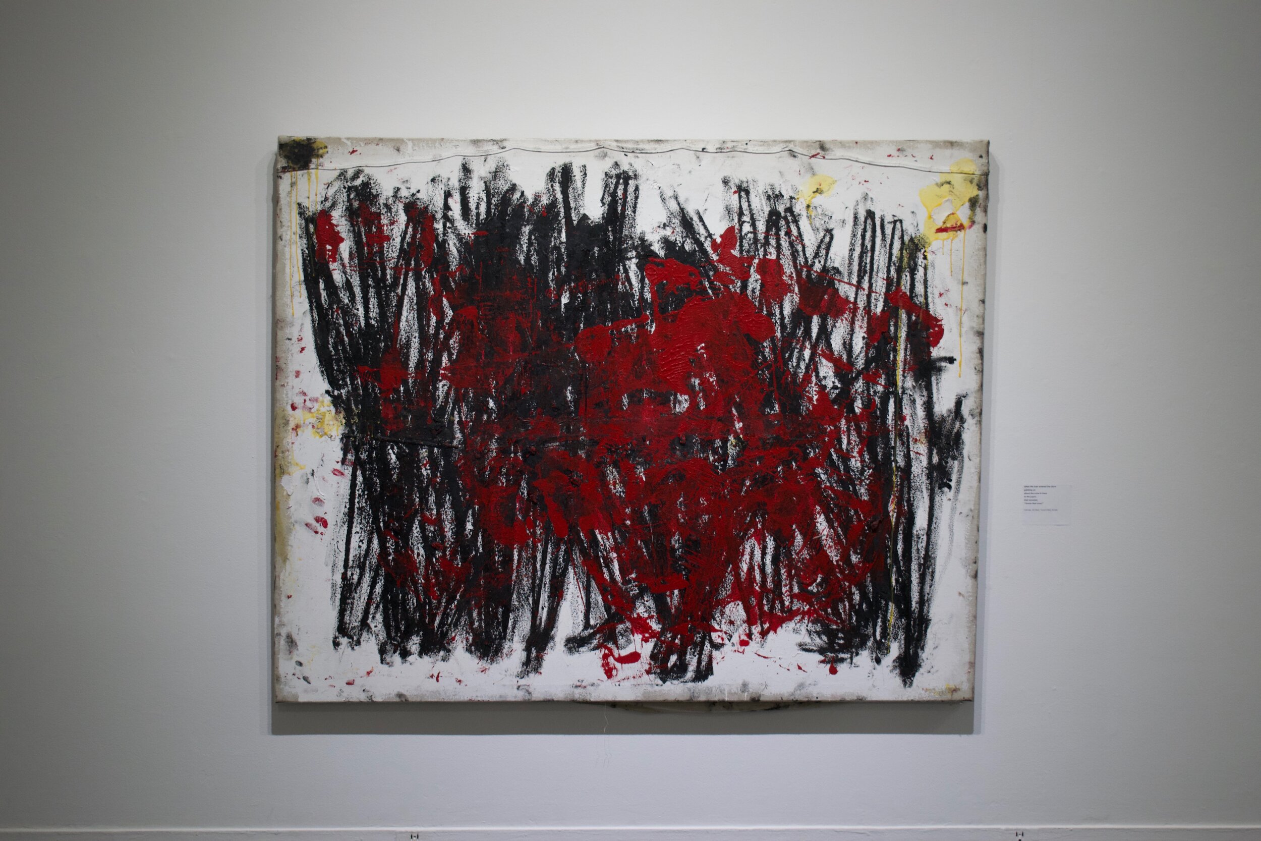 when the man  entered the store gabbing on  about the crow in Iowa in the paper, Dad revealed,  “I know that crow!”