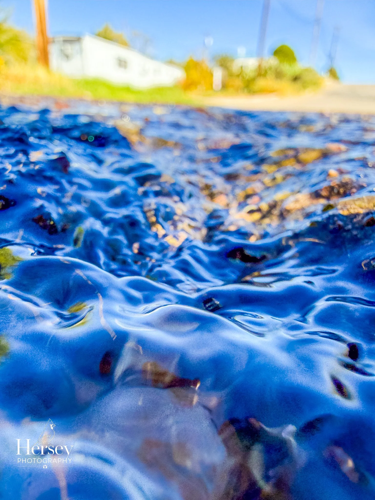 The Current Between Worlds, an abstract photograph of rippling blue water with a sunlit building blurred in the distance