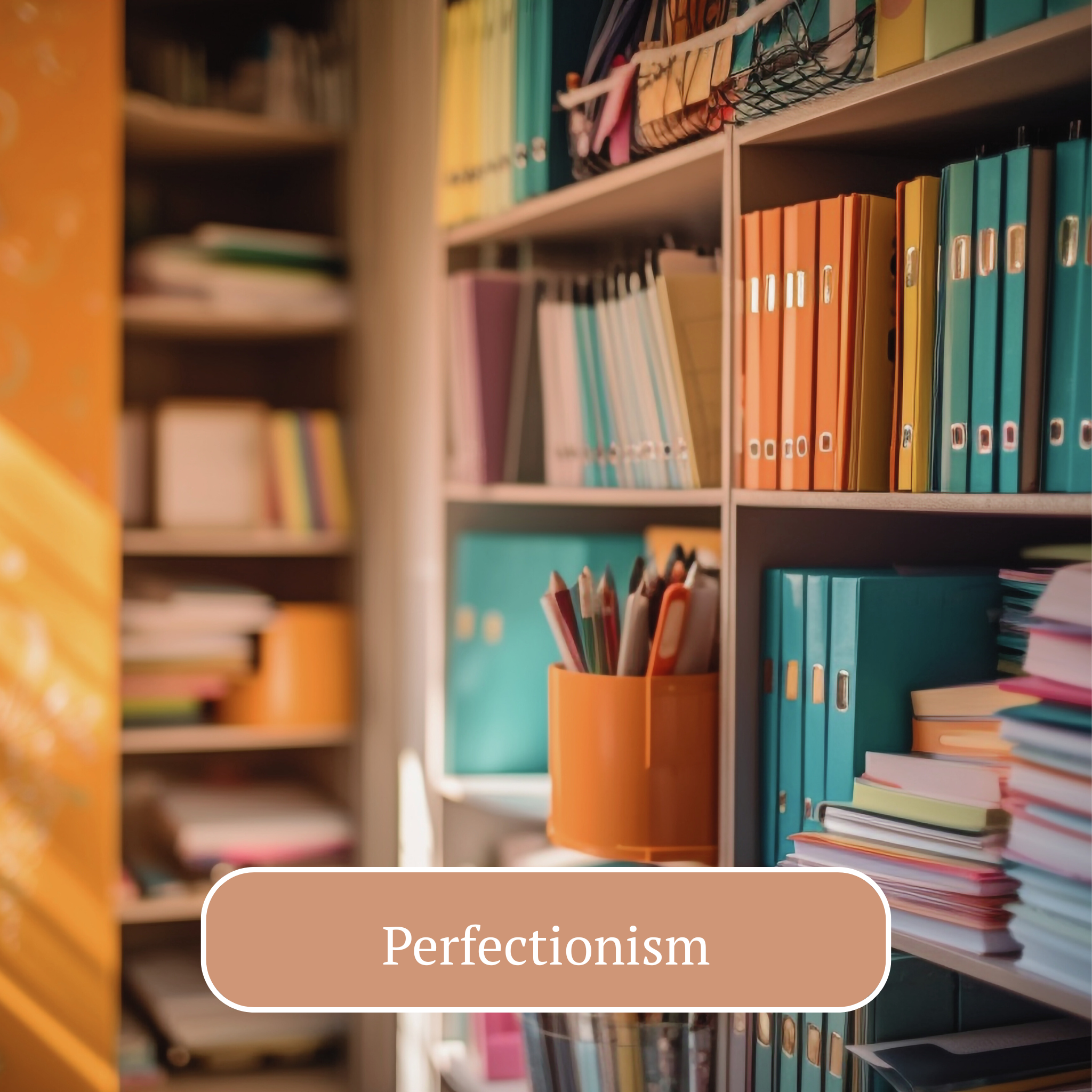Bookshelves filled with colorful folders, notebooks, and binders with an orange container holding pens and pencils.